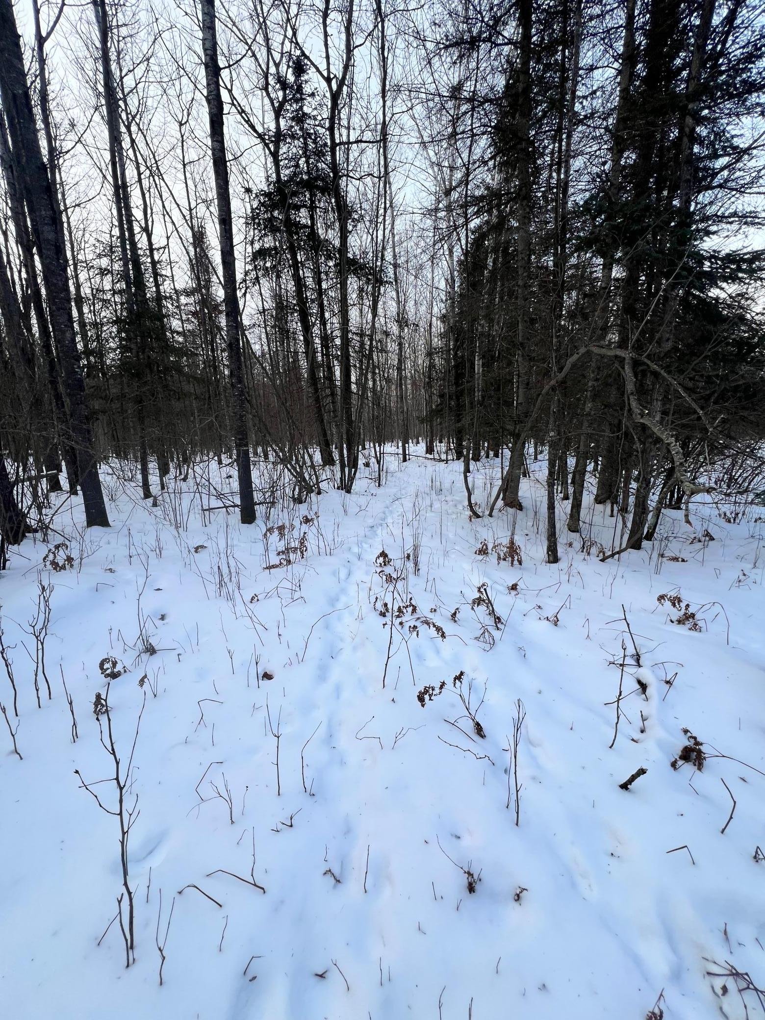 land for sale at TBD County Rd 67 in Grand Rapids, MN (photo 19 of 31)