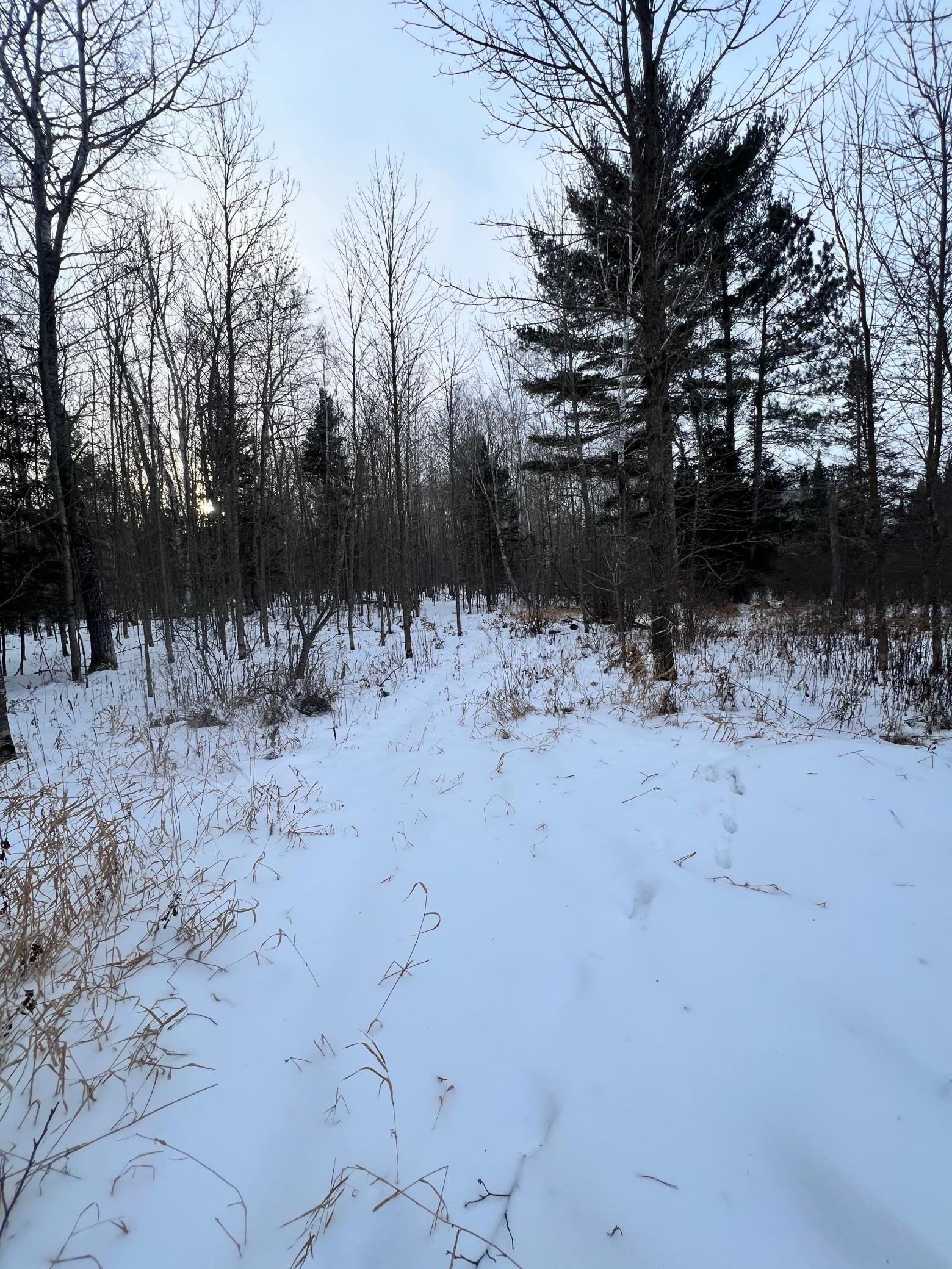 land for sale at TBD County Rd 67 in Grand Rapids, MN (photo 24 of 31)
