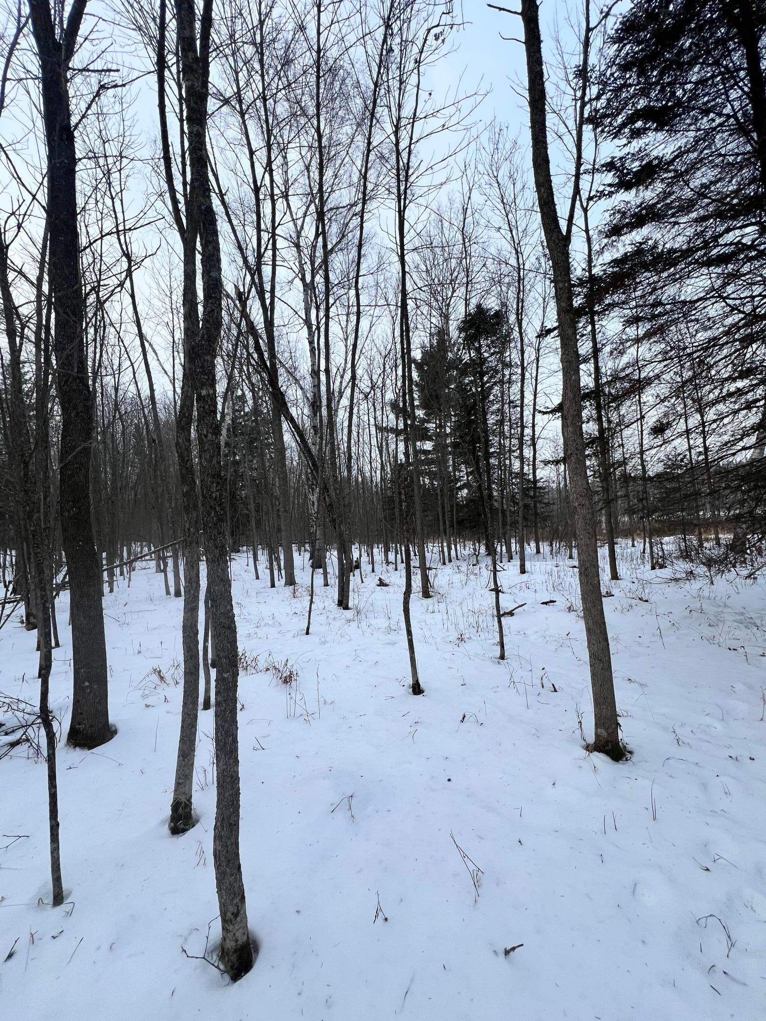 land for sale at TBD County Rd 67 in Grand Rapids, MN (photo 25 of 31)