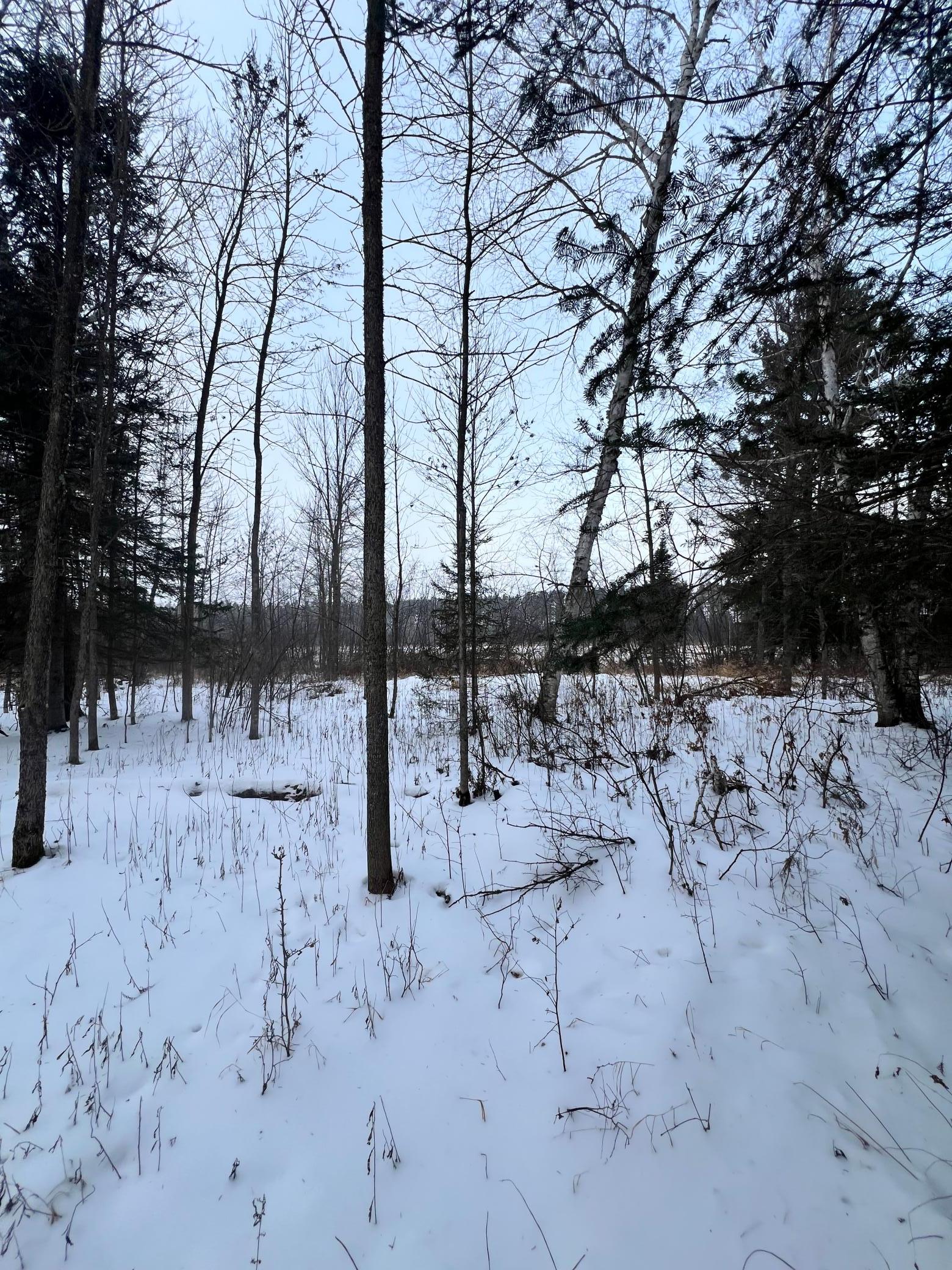 land for sale at TBD County Rd 67 in Grand Rapids, MN (photo 26 of 31)