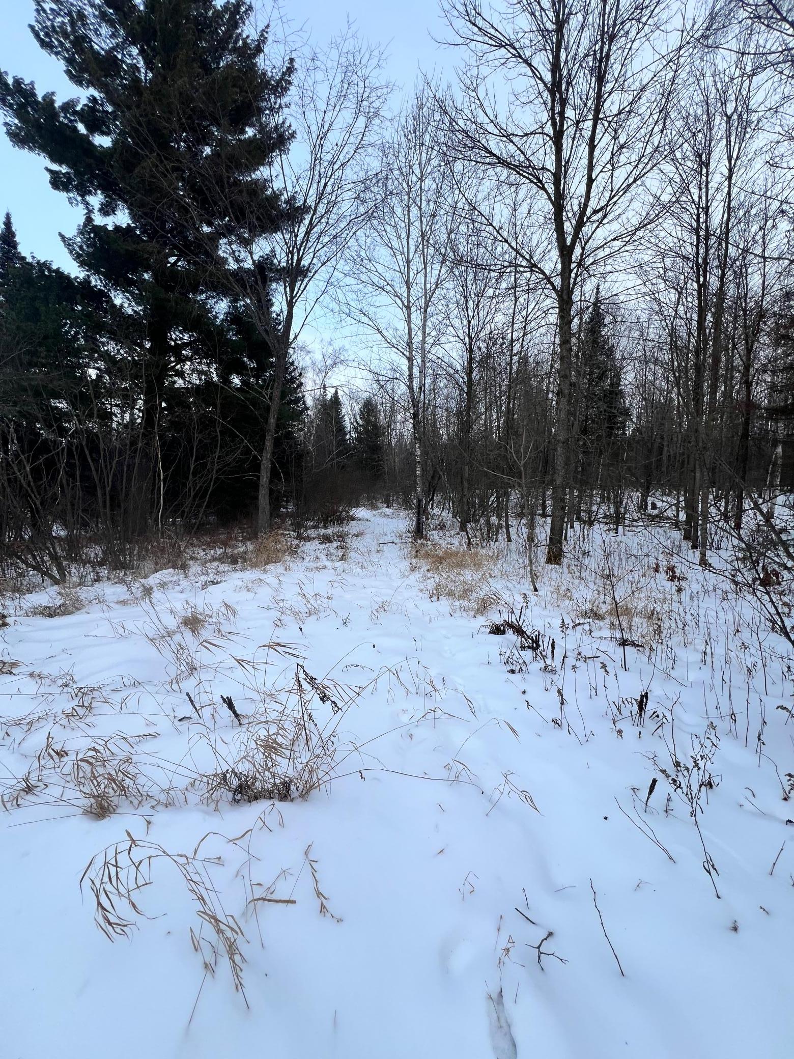 land for sale at TBD County Rd 67 in Grand Rapids, MN (photo 27 of 31)