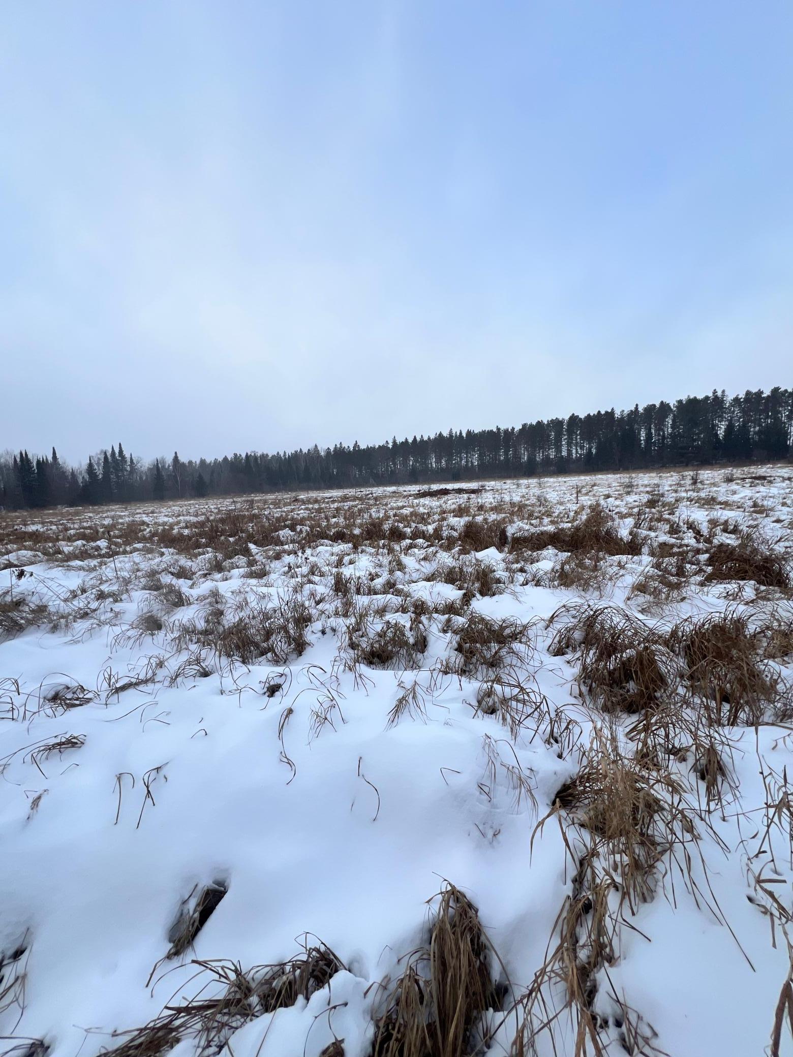 land for sale at TBD County Rd 67 in Grand Rapids, MN (photo 28 of 31)