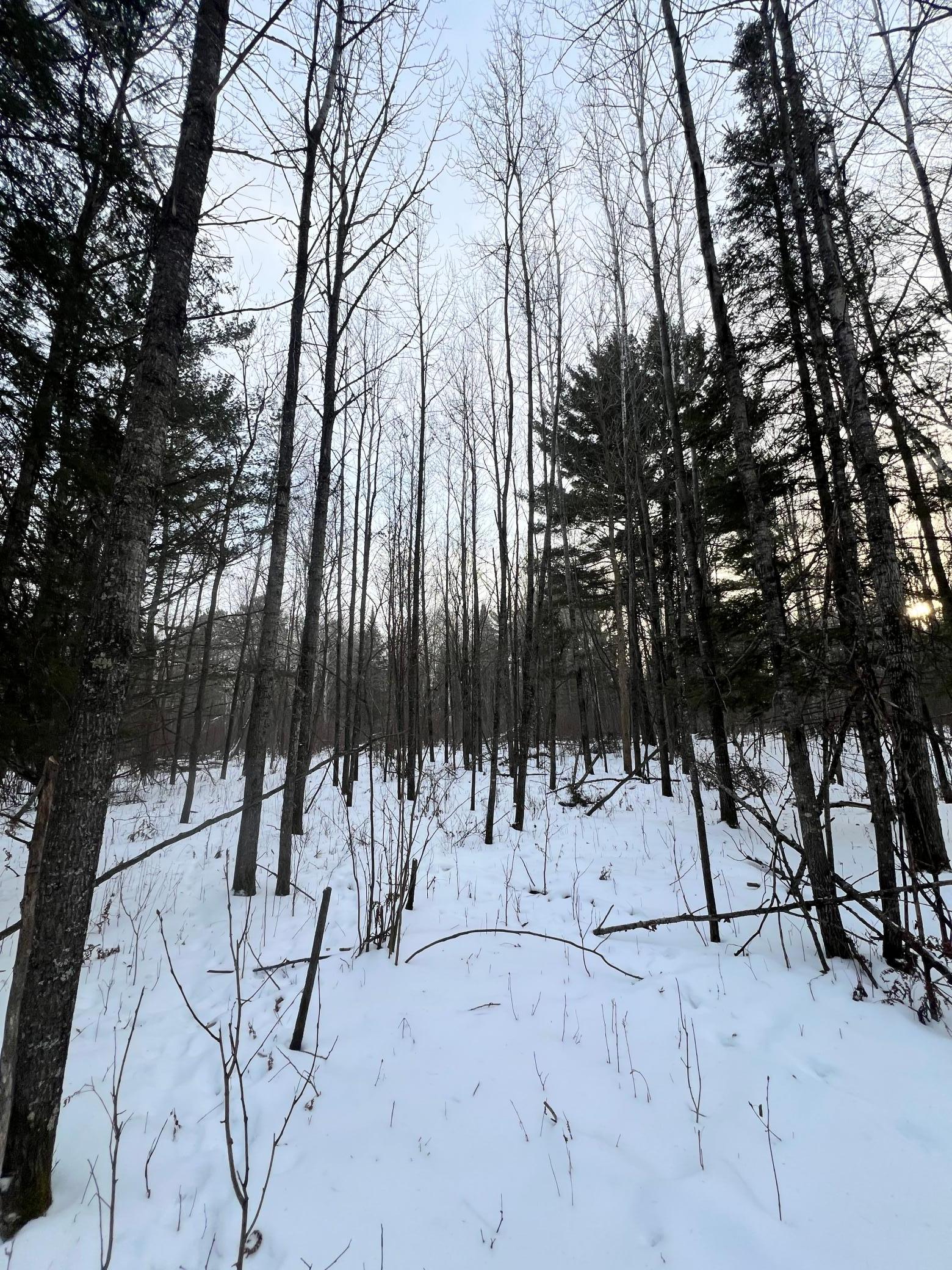 land for sale at TBD County Rd 67 in Grand Rapids, MN (photo 30 of 31)