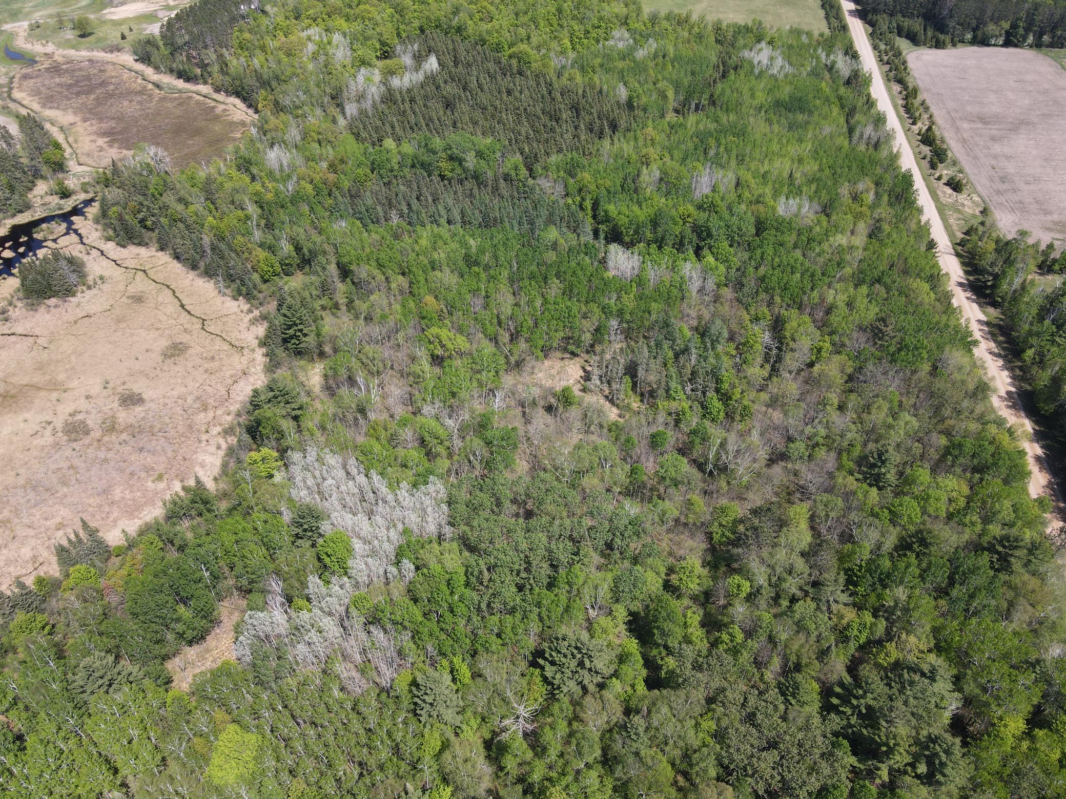 land for sale at XXX Co Rd 67 in Grand Rapids, MN (photo 12 of 14)
