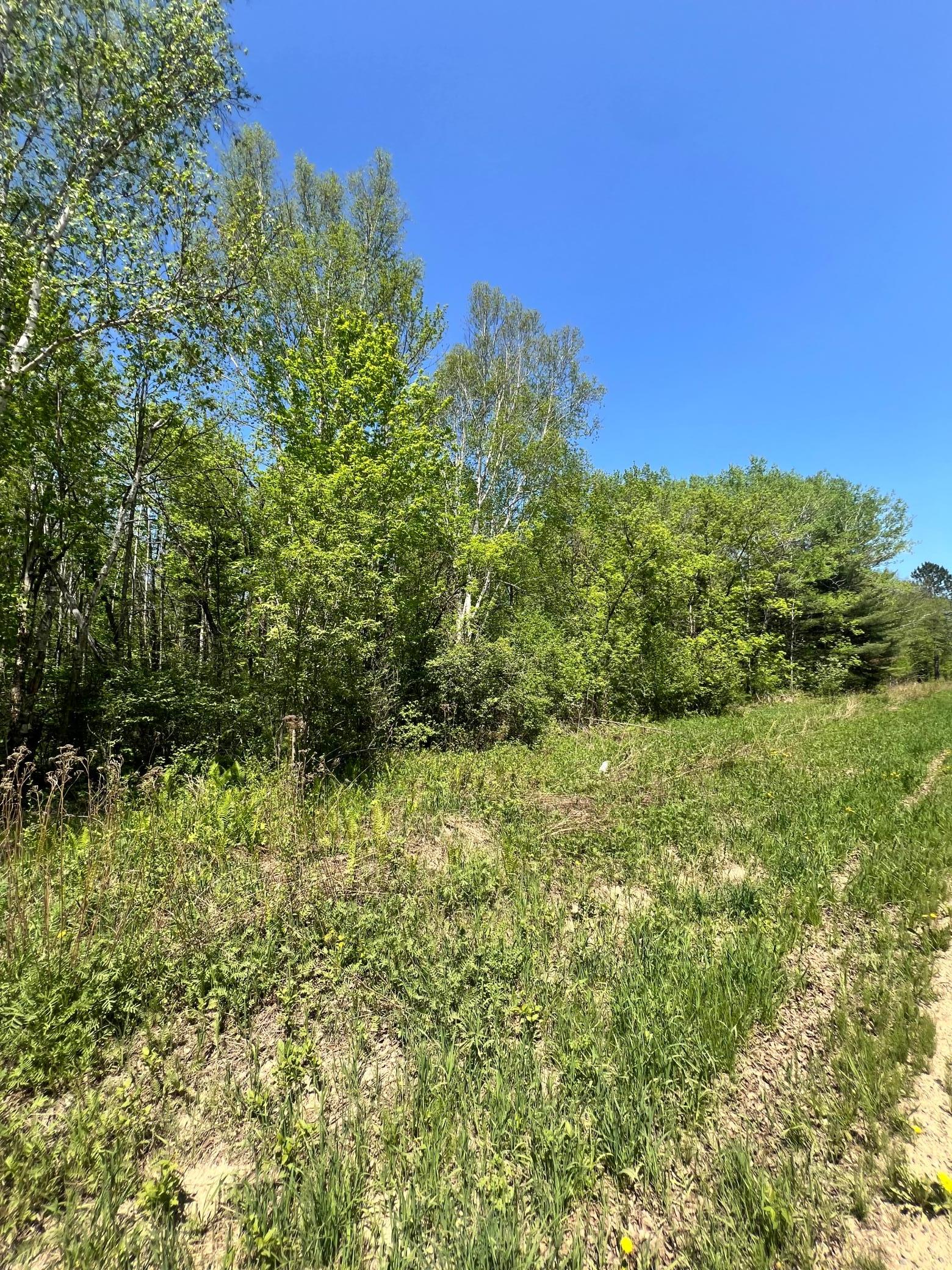 land for sale at XXX Co Rd 67 in Grand Rapids, MN (photo 13 of 14)