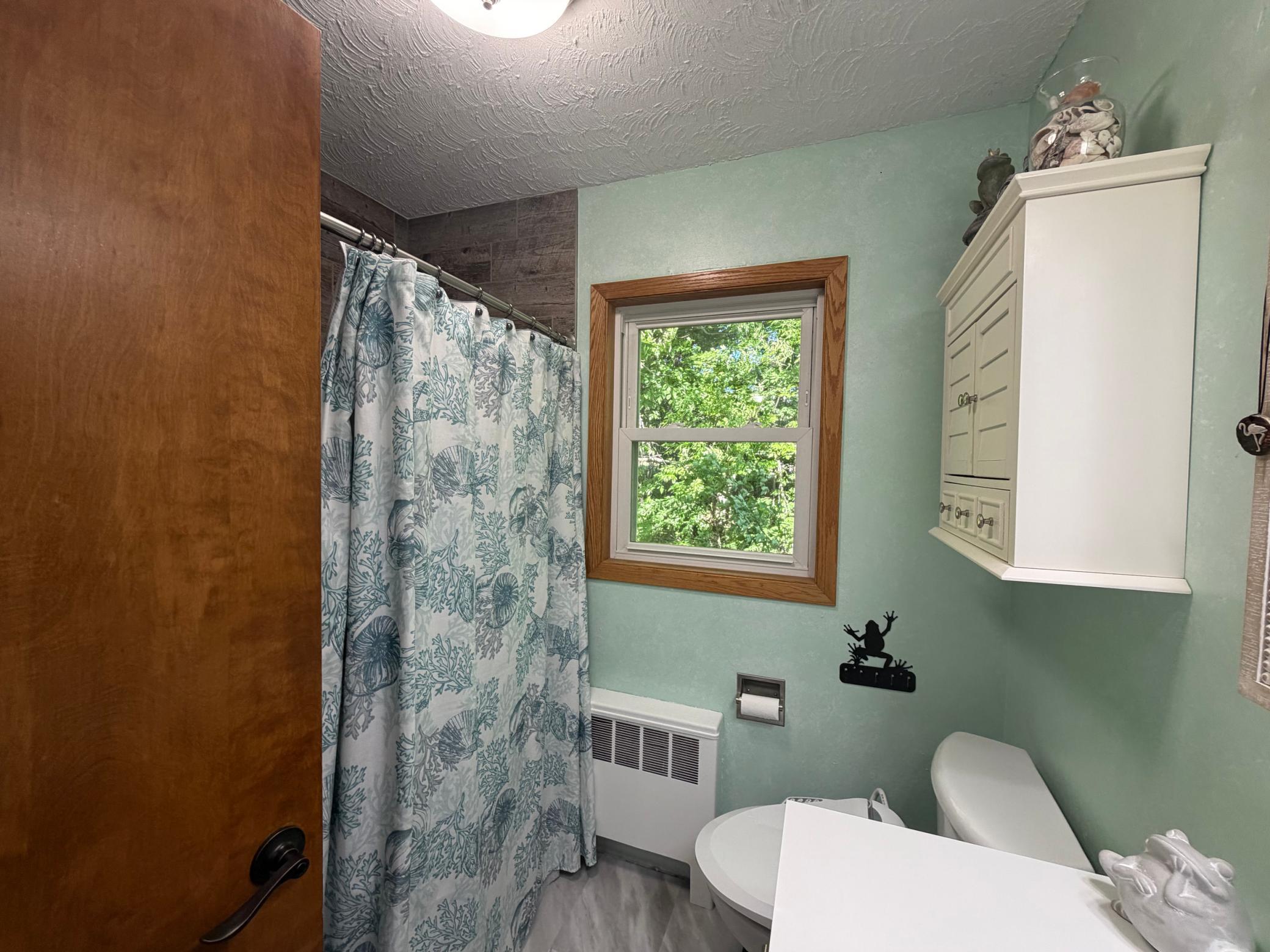 31265 Eagle Lake Road, Frazee MN 56544 - Photo 27 of 82