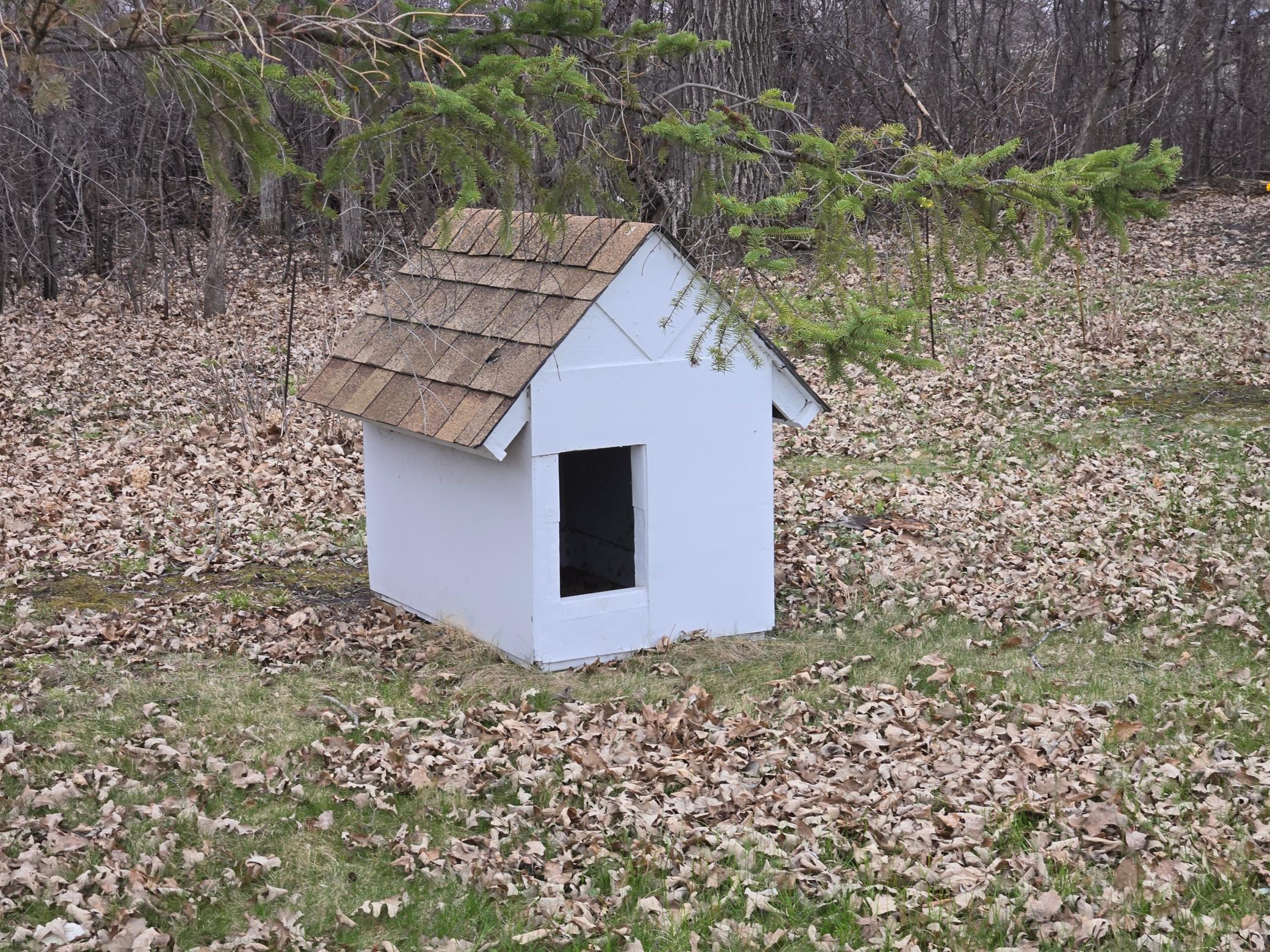 1923 single family home for sale at 25321 370th Street SE in McIntosh, MN — 3 bed, 1 bath (photo 54 of 68)