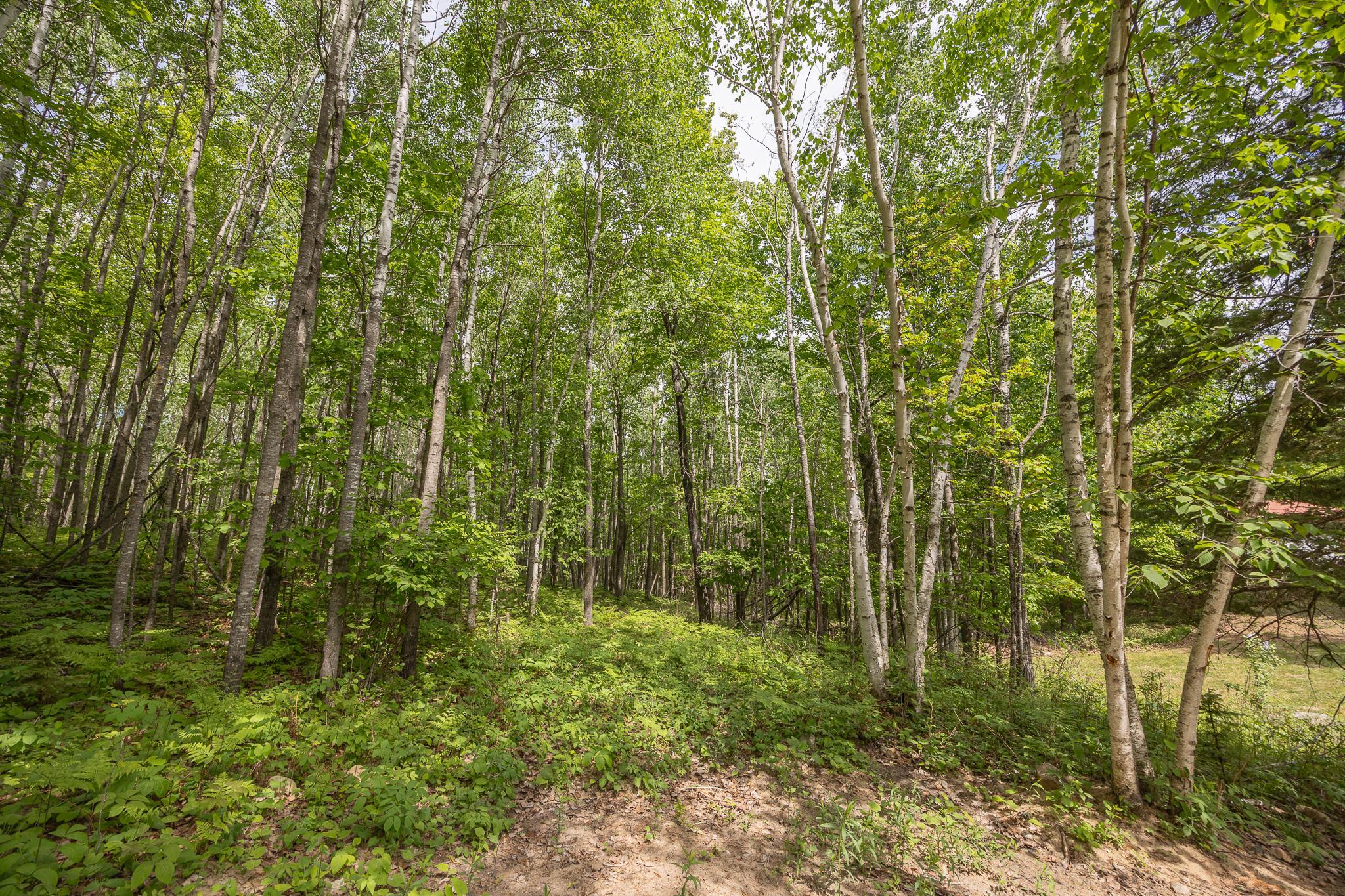 2004 single family home for sale at 3677 County 54 NE in Longville, MN — 3 bed, 4 bath (photo 50 of 66)