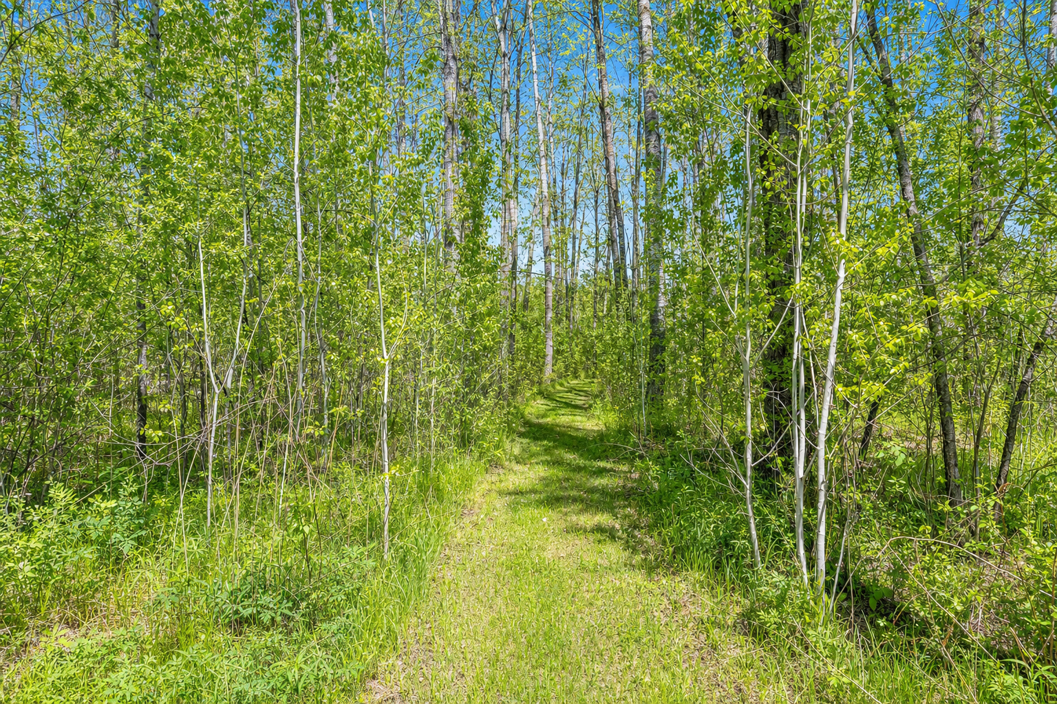 26450 State 34, Nevis MN 56467 - Photo 36 of 44