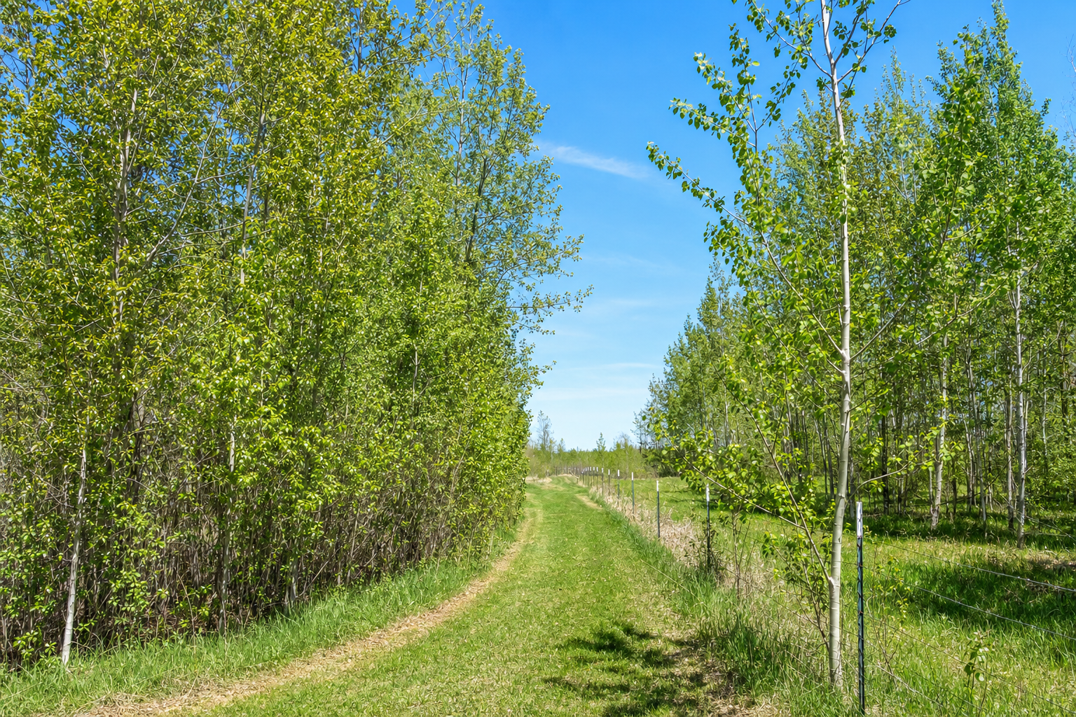26450 State 34, Nevis MN 56467 - Photo 39 of 44