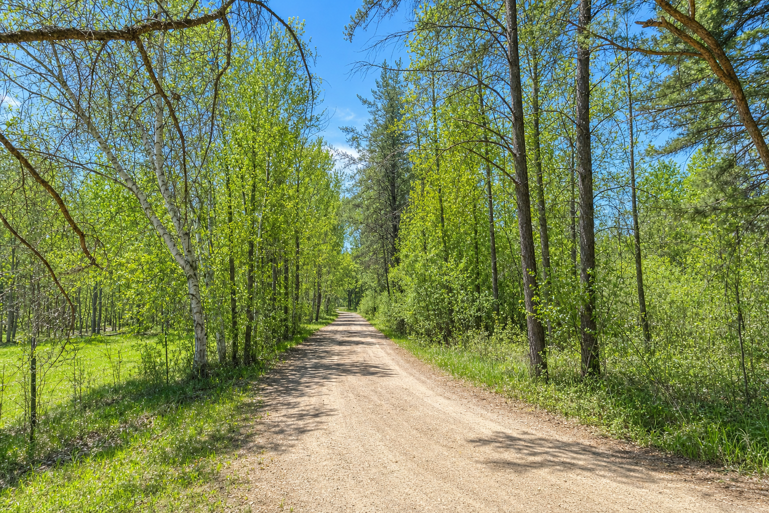 26450 State 34, Nevis MN 56467 - Photo 40 of 44