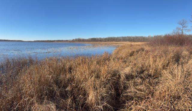 TBD 226th, McGregor MN 56431 - Photo 7 of 11