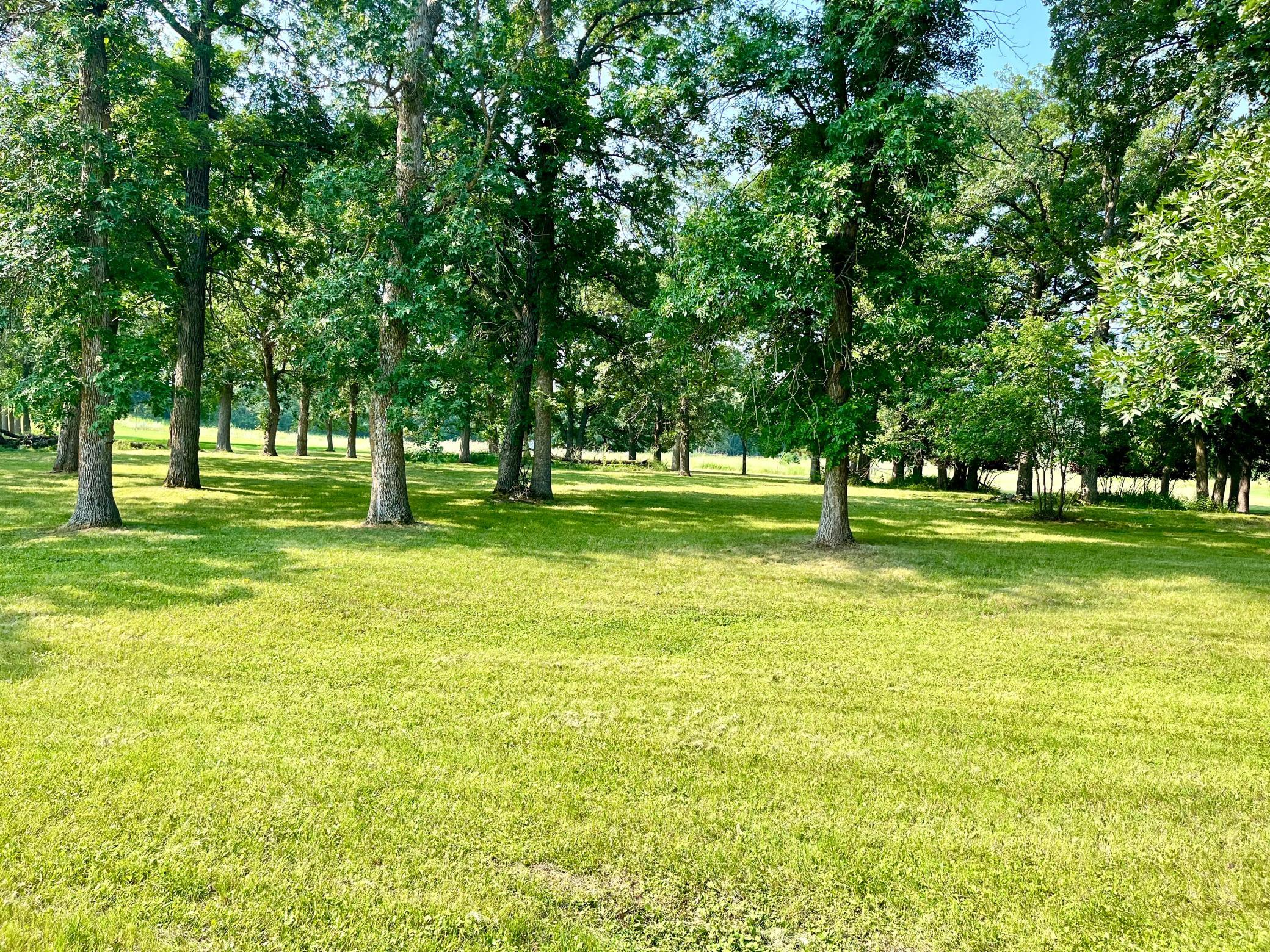 1476 Long Lake Drive, Detroit Lakes MN 56501 - Photo 6 of 6