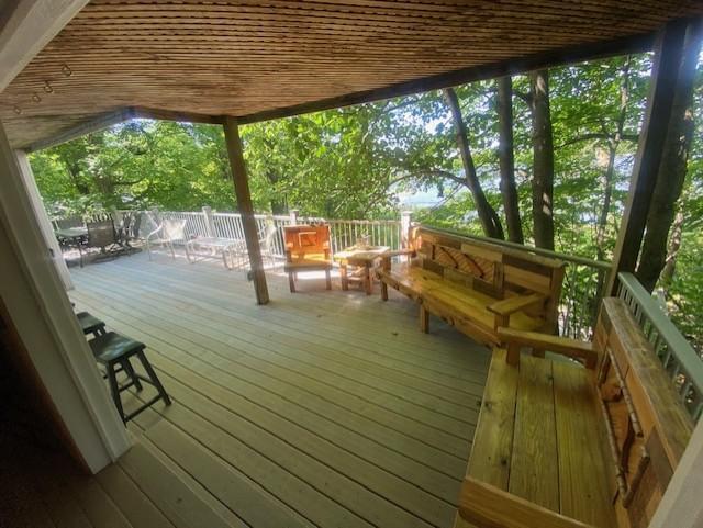 13231 Island Lake Road E, Lengby MN 56651 - Photo 22 of 24