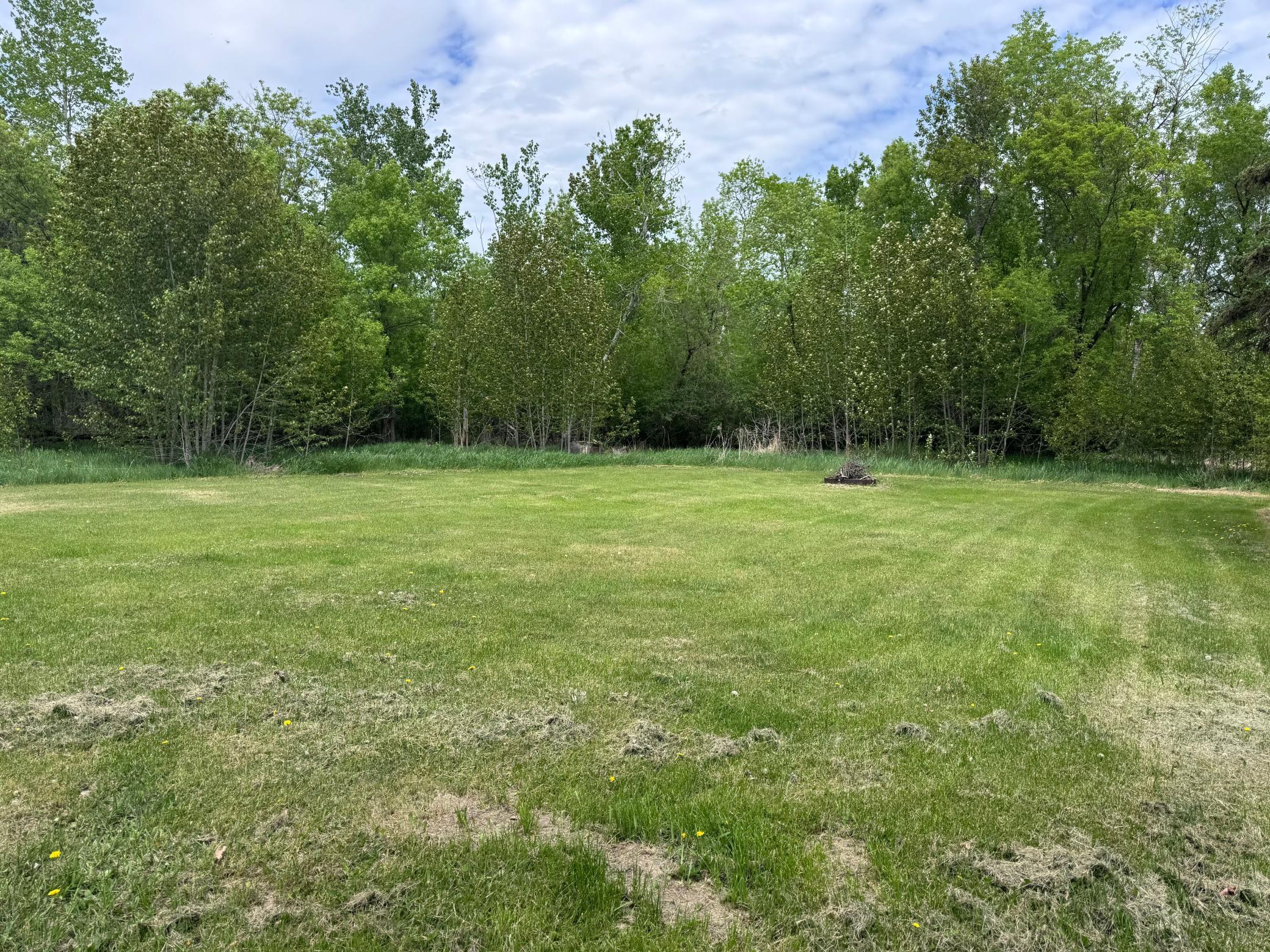 201 Schilling Road SE, Bagley MN 56621 - Photo 4 of 26
