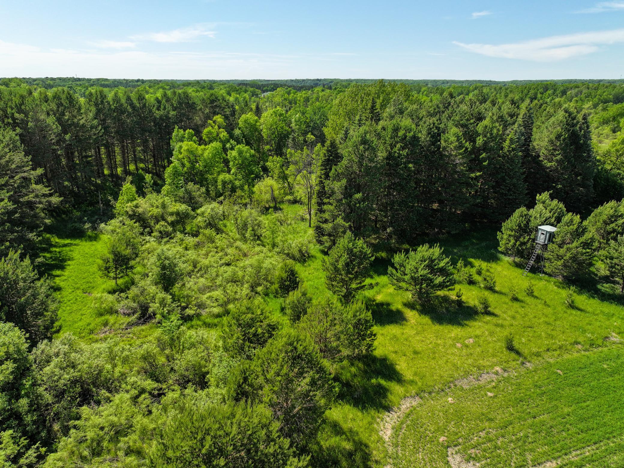 XXX S Park Drive NE, Carlos MN 56319 - Photo 22 of 31