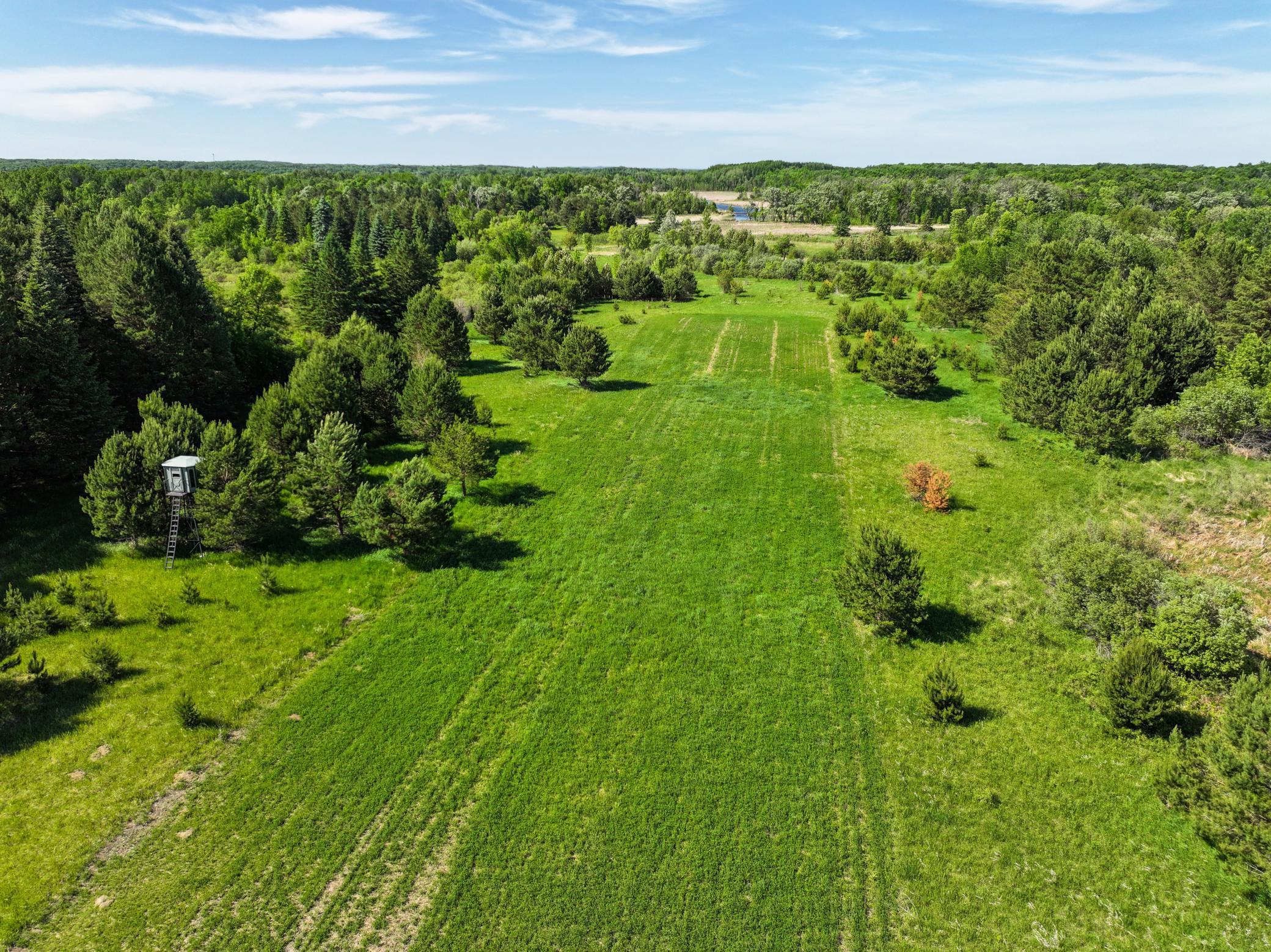 XXX S Park Drive NE, Carlos MN 56319 - Photo 23 of 31