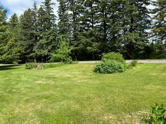 21888 Shallow Lake Road, Warba MN 55793 - Photo 39 of 44