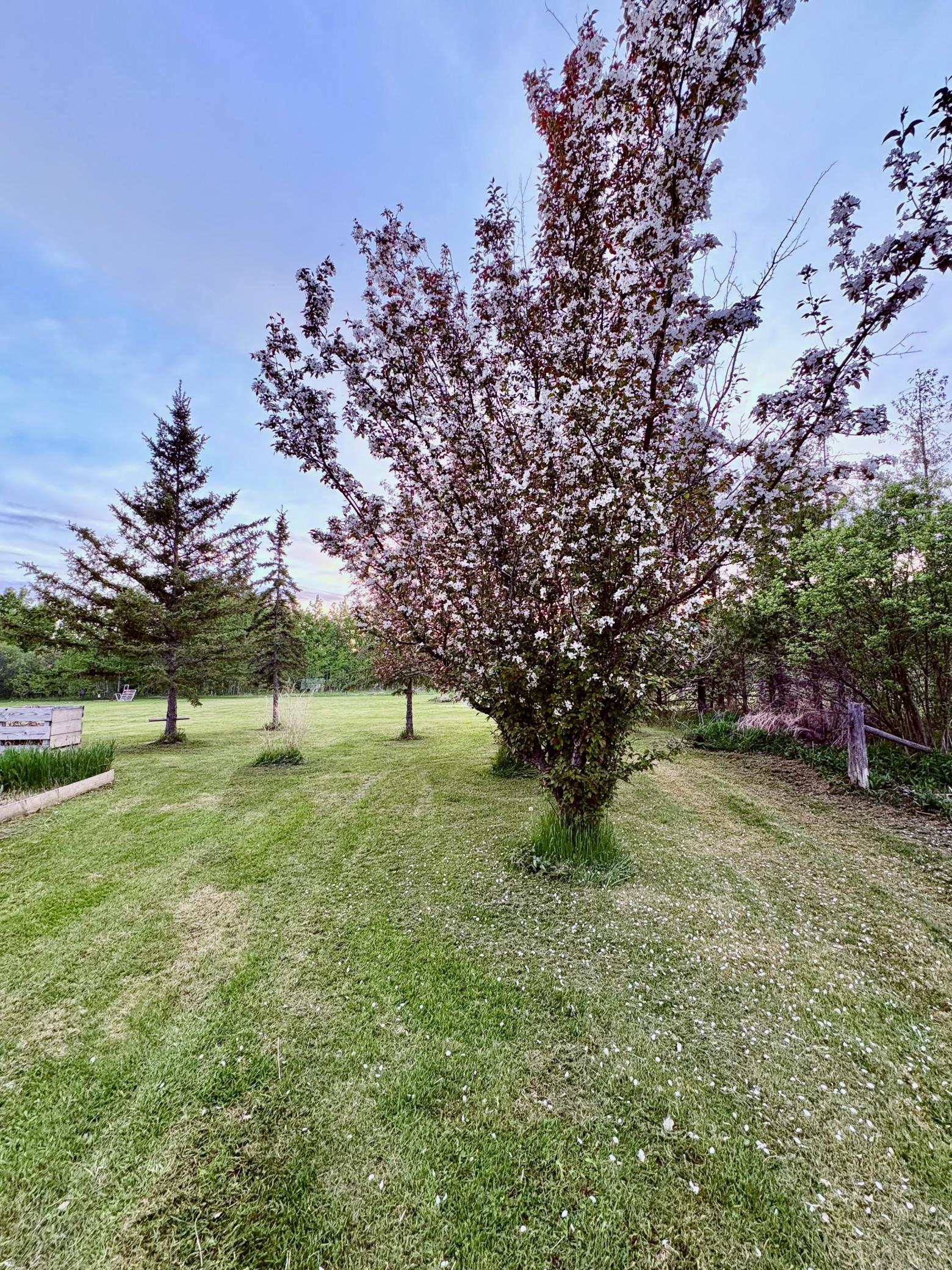 4325 94th Avenue NW, Roosevelt MN 56673 - Photo 36 of 55