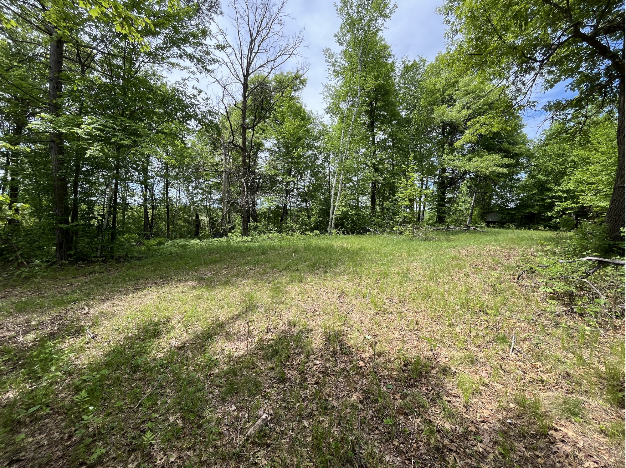 13384 Sorenson Lake Road, Merrifield MN 56465 - Photo 11 of 40