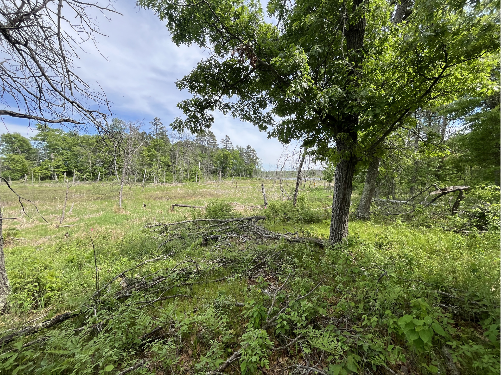 13384 Sorenson Lake Road, Merrifield MN 56465 - Photo 24 of 40