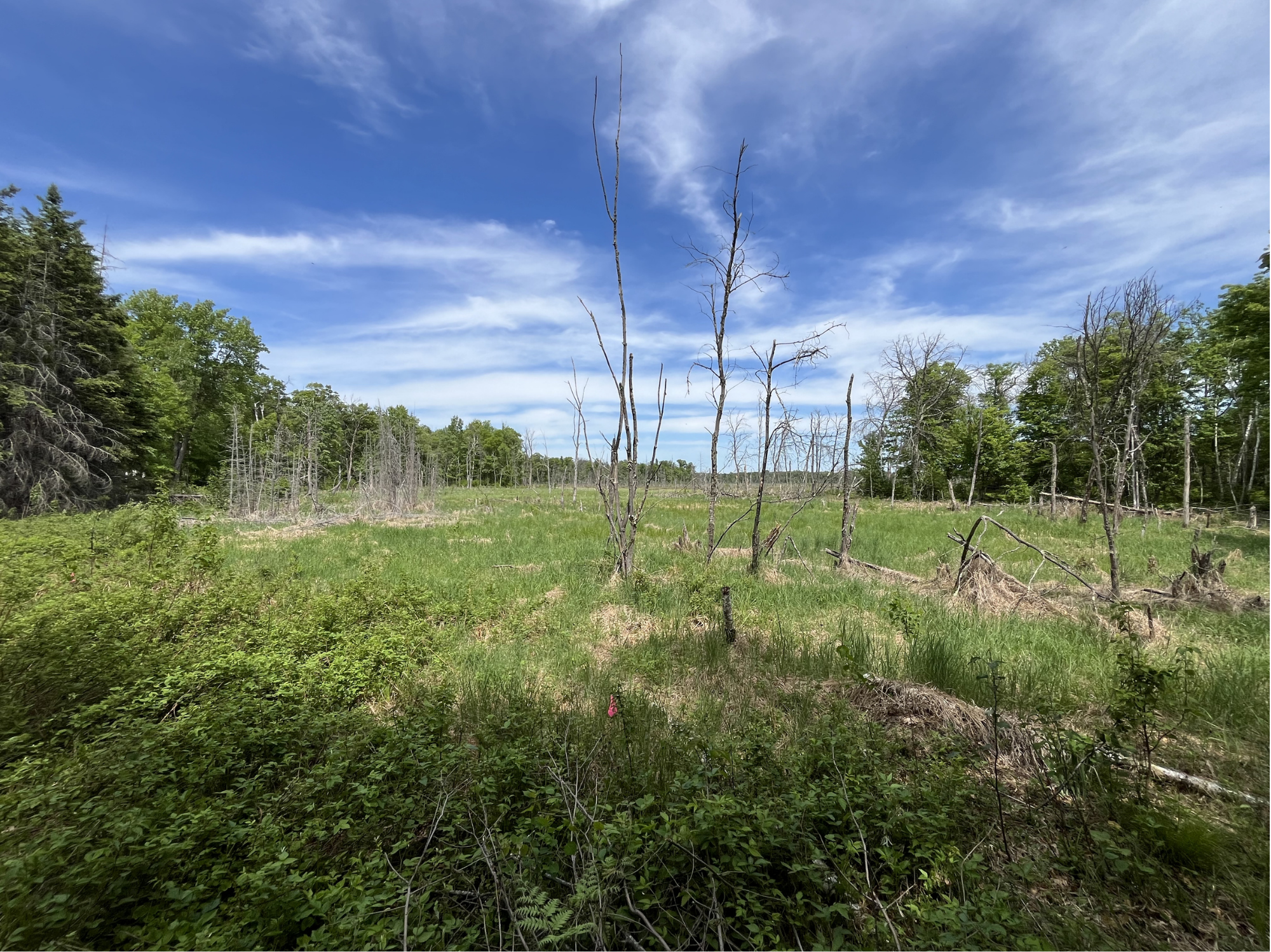 13384 Sorenson Lake Road, Merrifield MN 56465 - Photo 31 of 40