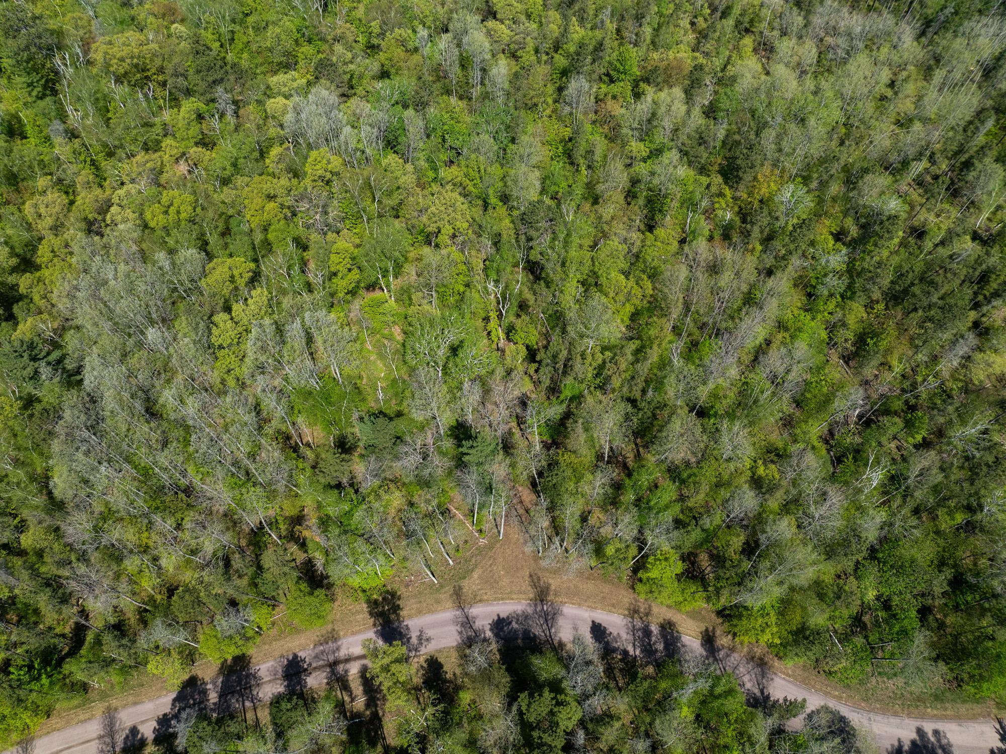 TBD Hidden Creek Court, Pequot Lakes MN 56472 - Photo 3 of 11