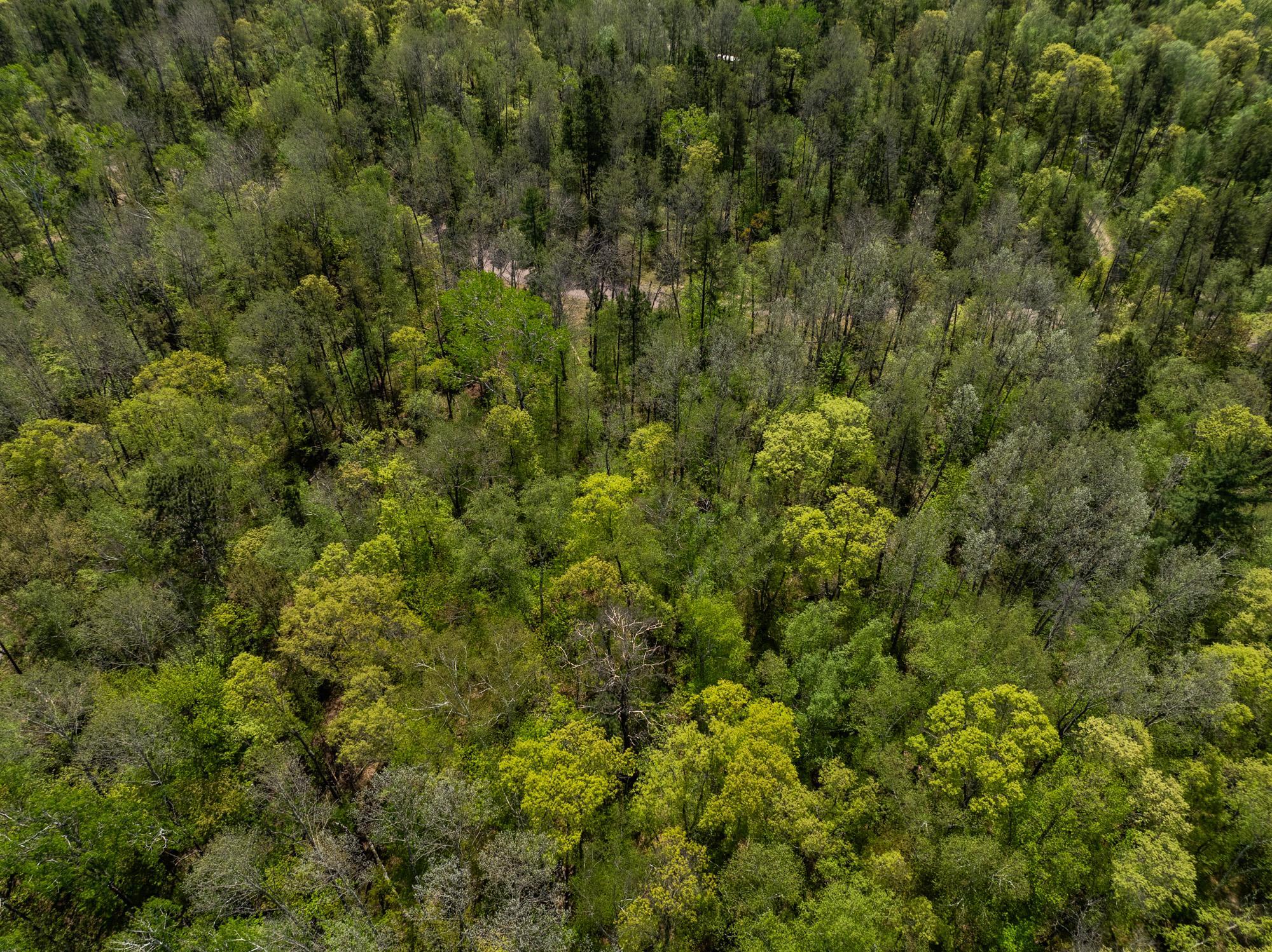 TBD Hidden Creek Court, Pequot Lakes MN 56472 - Photo 4 of 11