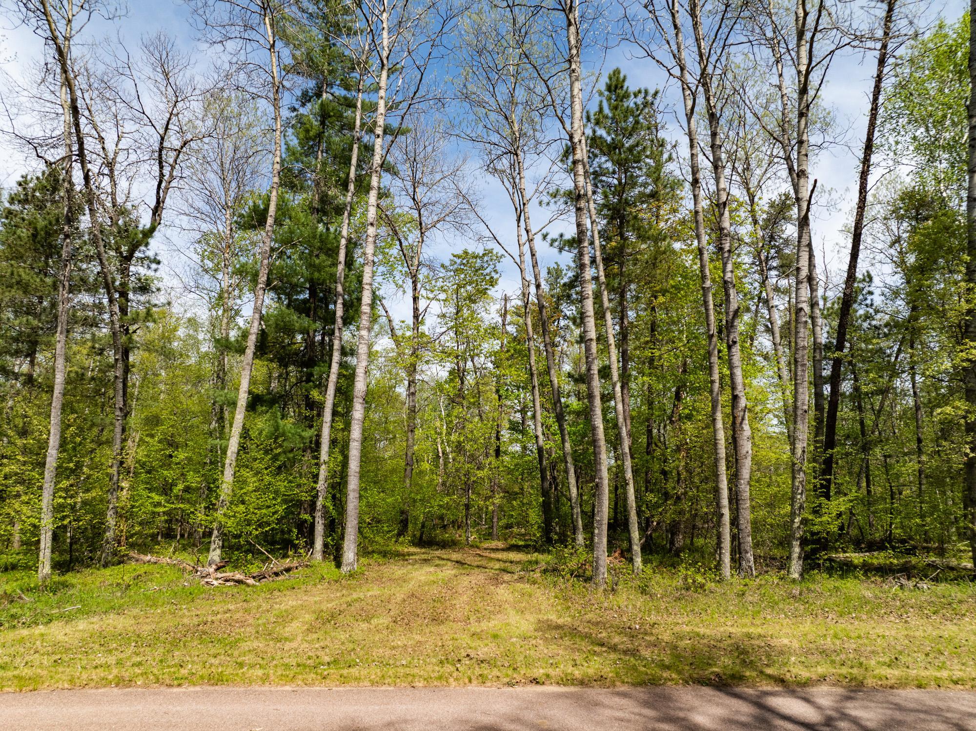 TBD Hidden Creek Court, Pequot Lakes MN 56472 - Photo 6 of 11