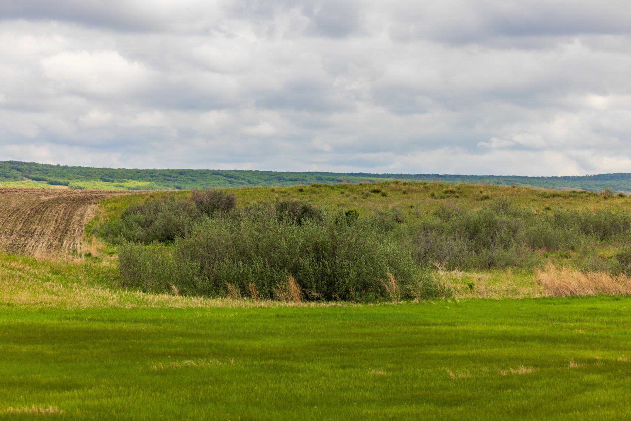 land for sale at TBD 6 Avenue NE in Souris, ND (photo 11 of 69)