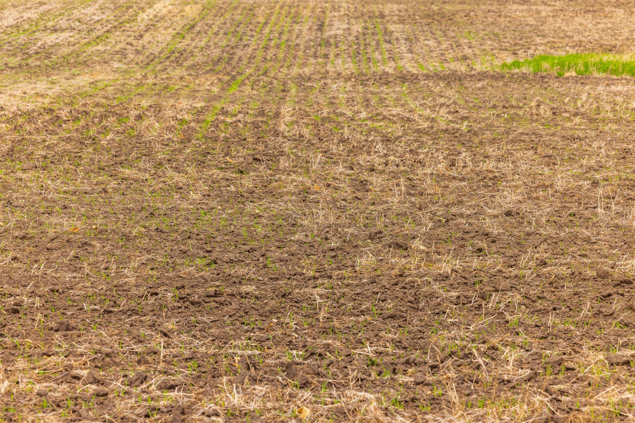 land for sale at TBD 6 Avenue NE in Souris, ND (photo 15 of 69)
