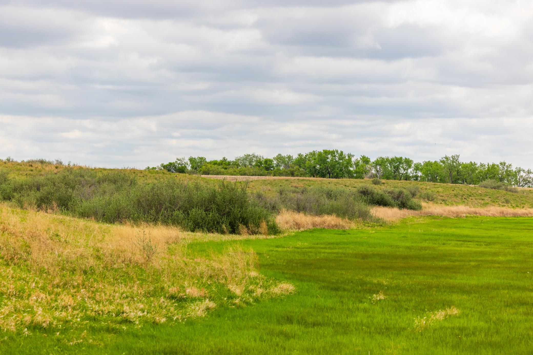 land for sale at TBD 6 Avenue NE in Souris, ND (photo 16 of 69)