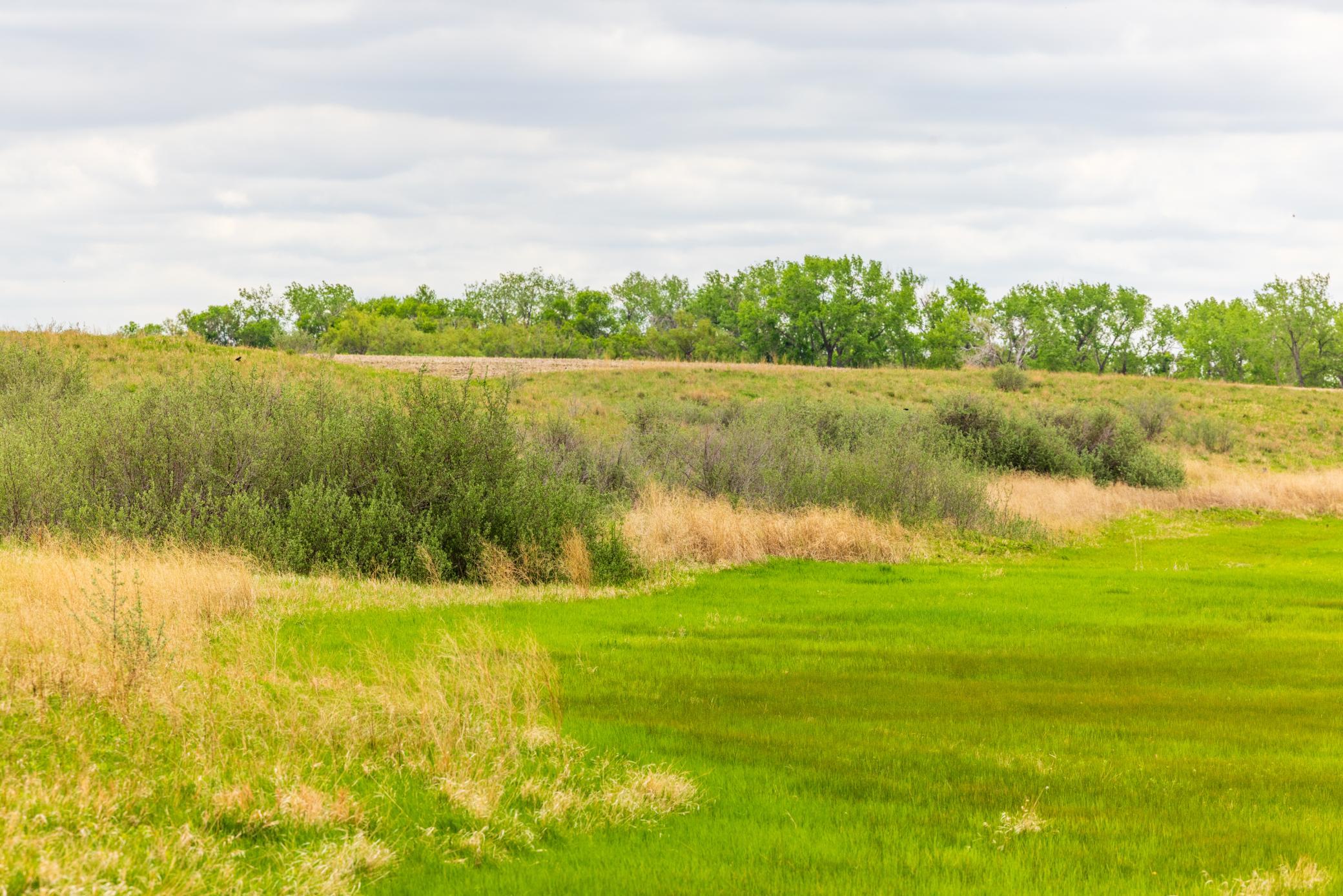 land for sale at TBD 6 Avenue NE in Souris, ND (photo 17 of 69)