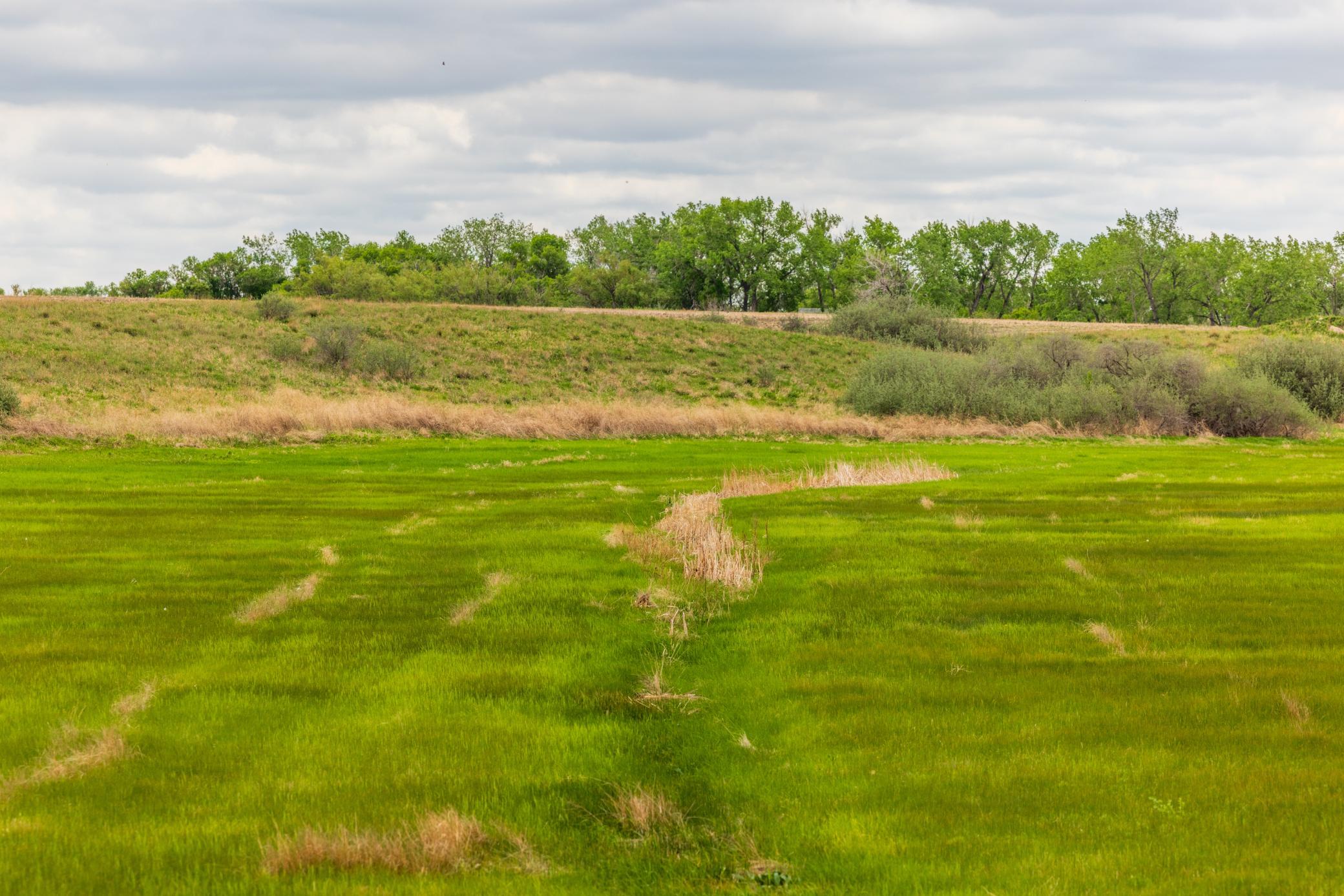 land for sale at TBD 6 Avenue NE in Souris, ND (photo 20 of 69)
