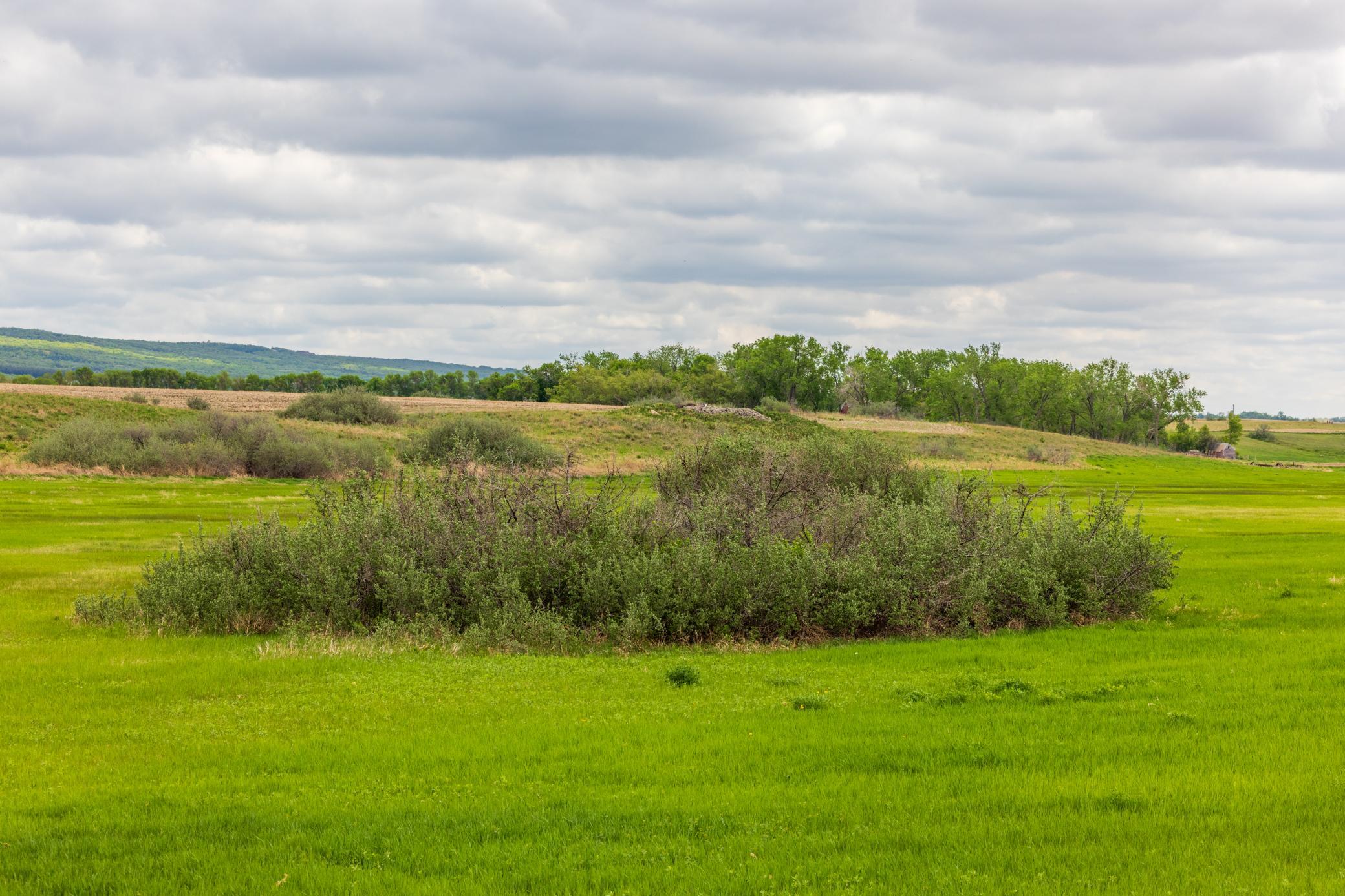 land for sale at TBD 6 Avenue NE in Souris, ND (photo 22 of 69)