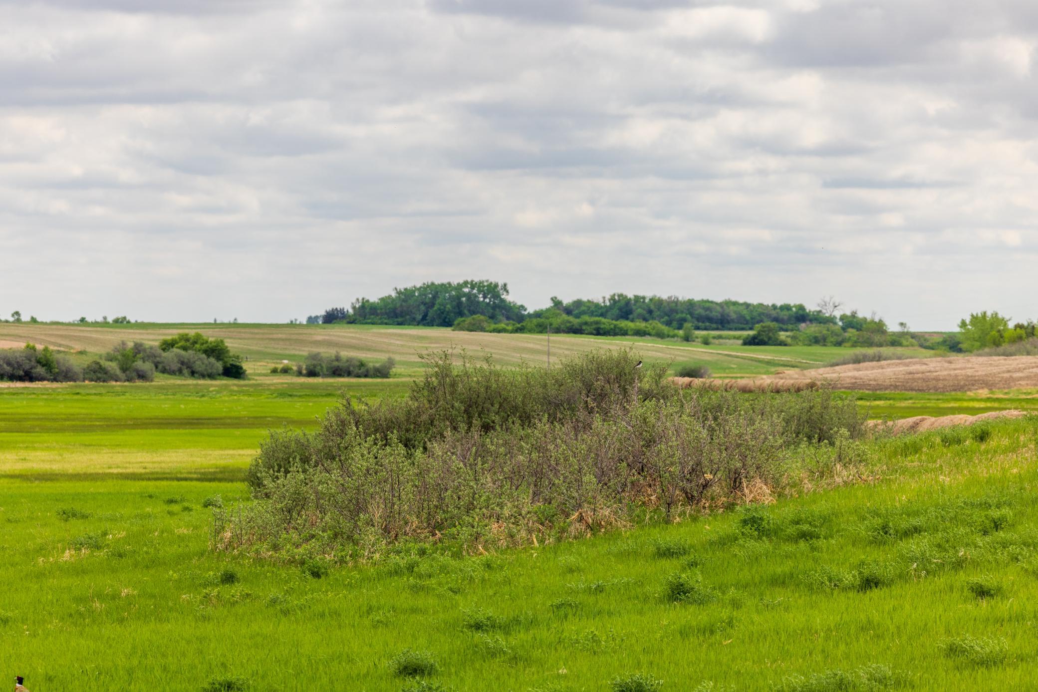 land for sale at TBD 6 Avenue NE in Souris, ND (photo 23 of 69)