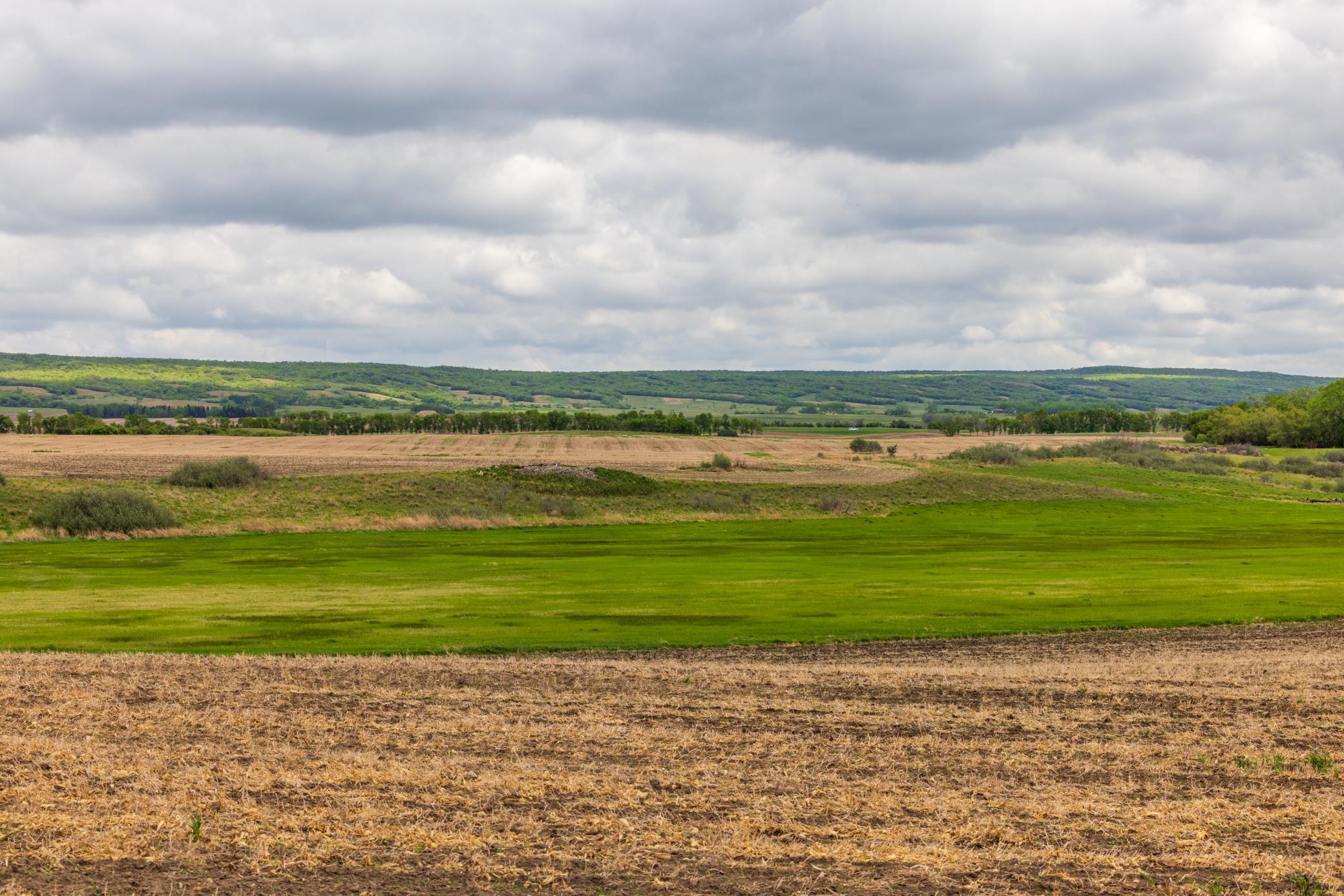 land for sale at TBD 6 Avenue NE in Souris, ND (photo 25 of 69)