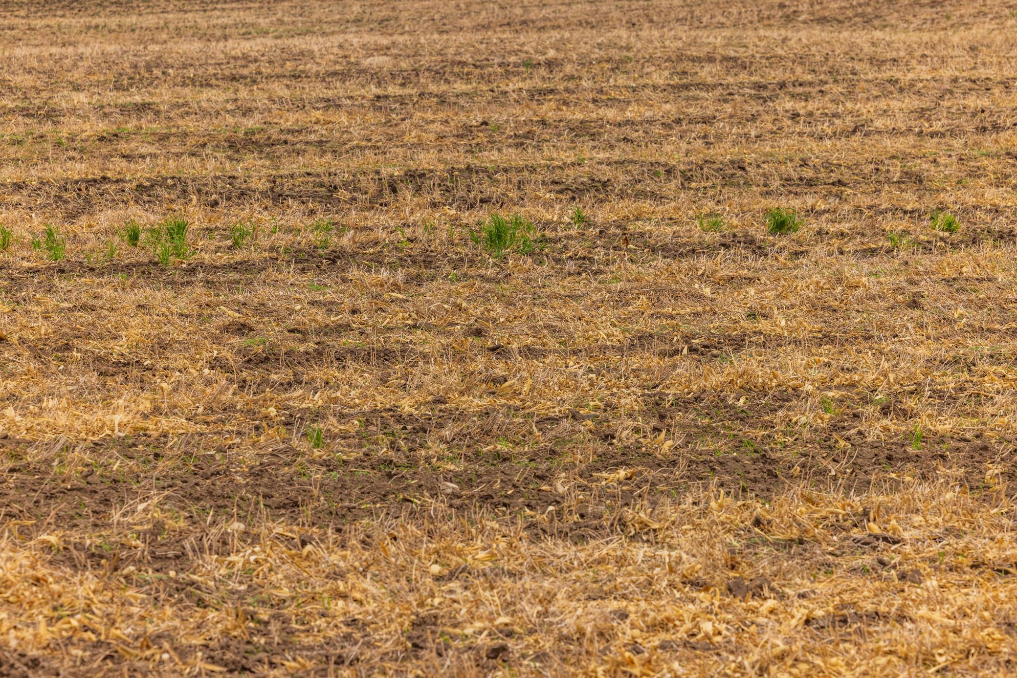 land for sale at TBD 6 Avenue NE in Souris, ND (photo 27 of 69)