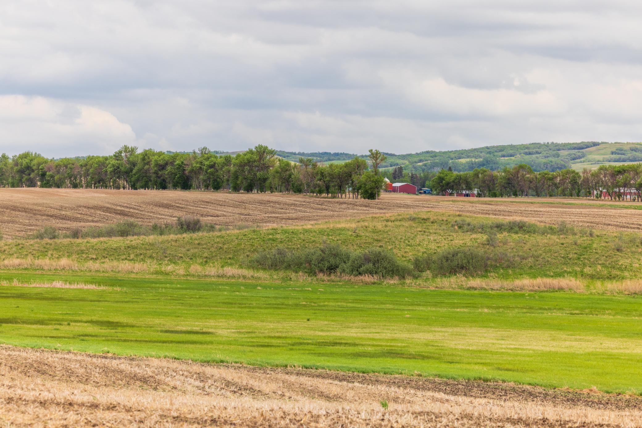 land for sale at TBD 6 Avenue NE in Souris, ND (photo 30 of 69)