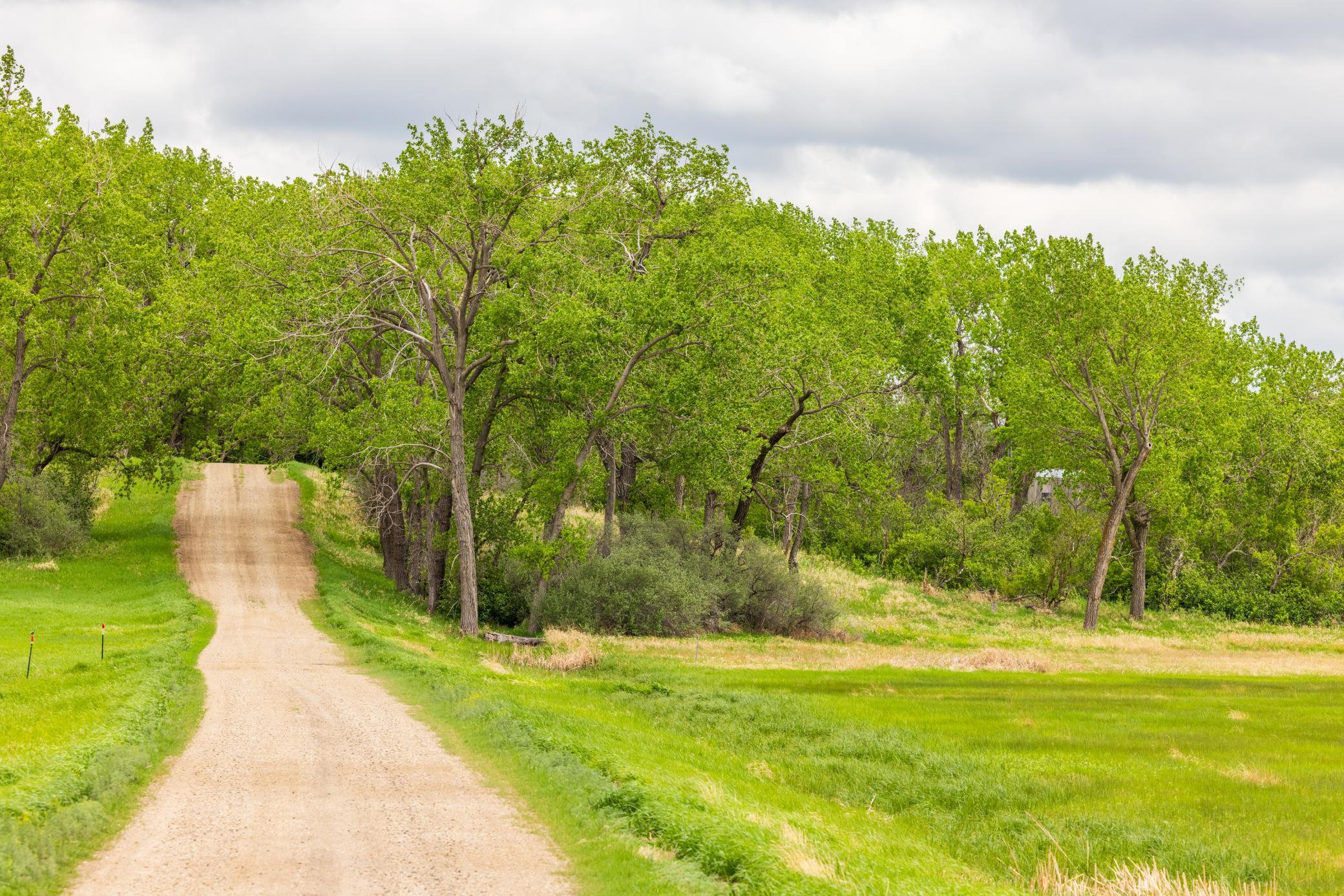 land for sale at TBD 6 Avenue NE in Souris, ND (photo 46 of 69)