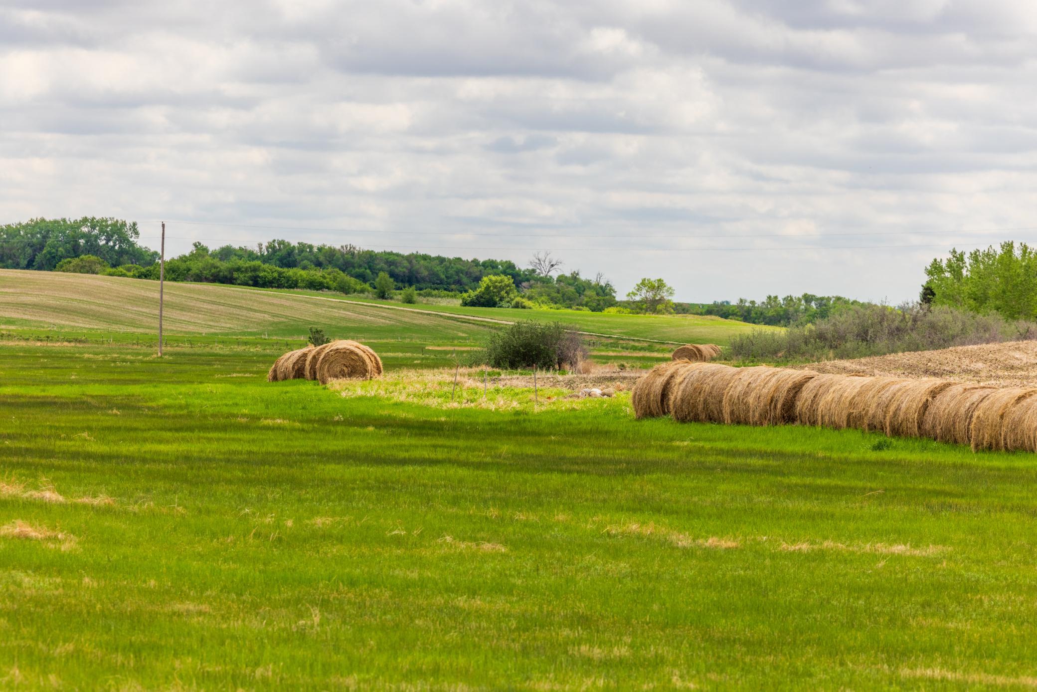 land for sale at TBD 6 Avenue NE in Souris, ND (photo 48 of 69)