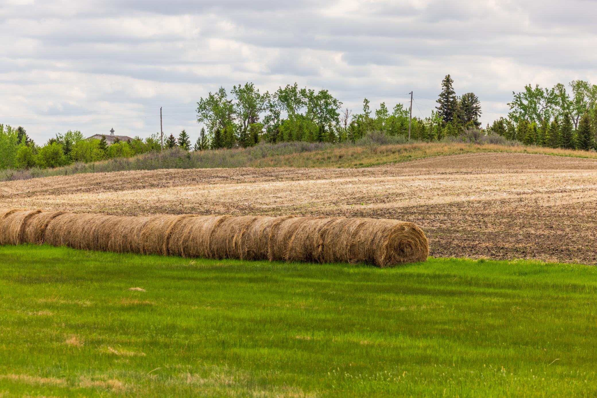 land for sale at TBD 6 Avenue NE in Souris, ND (photo 49 of 69)