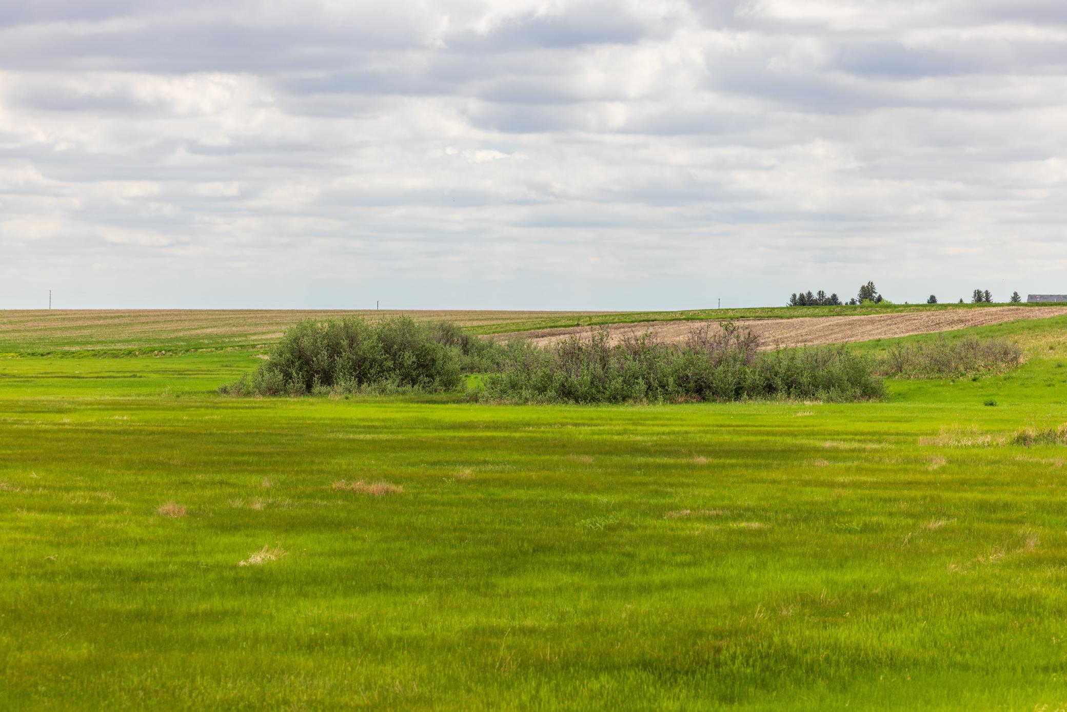 land for sale at TBD 6 Avenue NE in Souris, ND (photo 6 of 69)