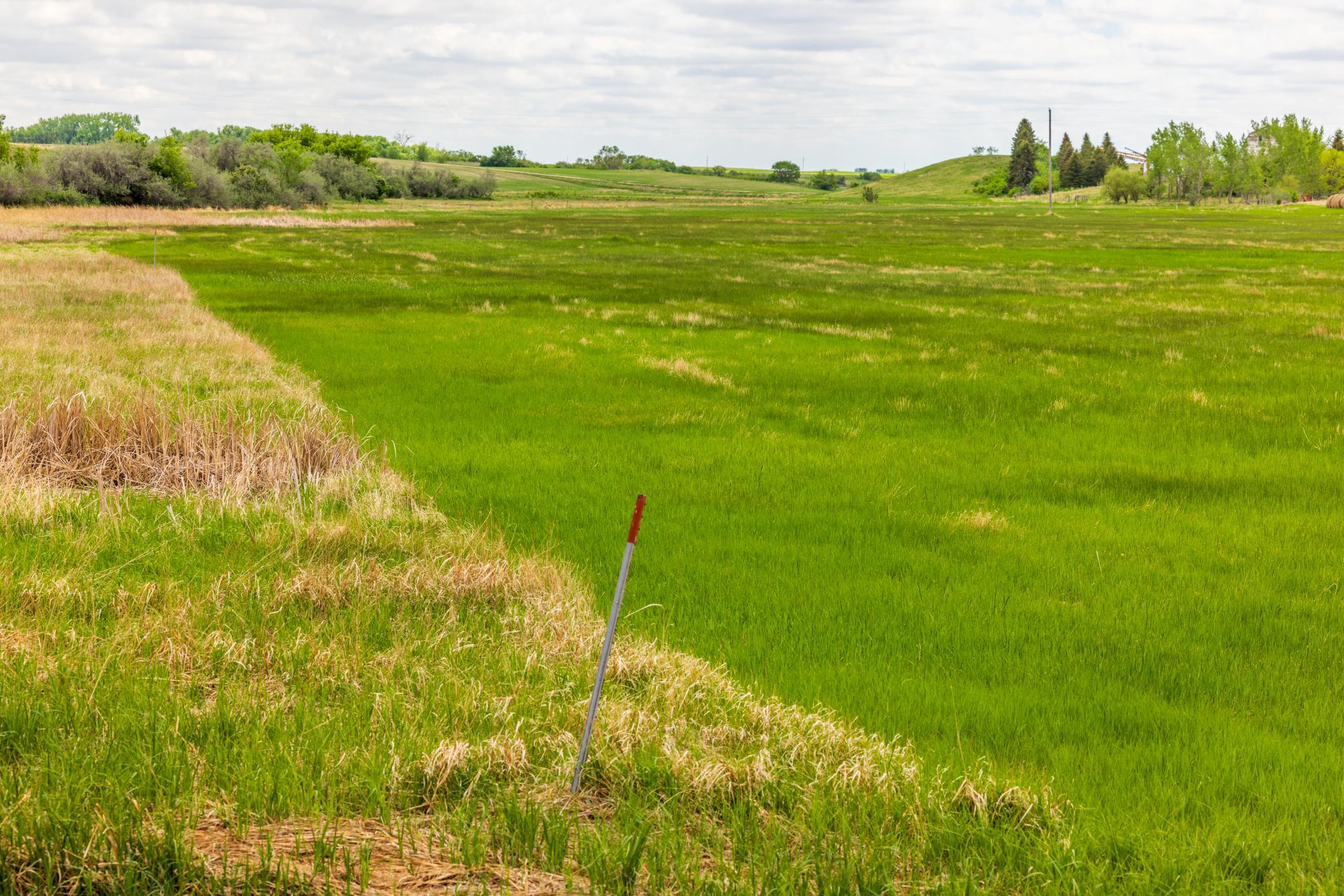 land for sale at TBD 6 Avenue NE in Souris, ND (photo 51 of 69)