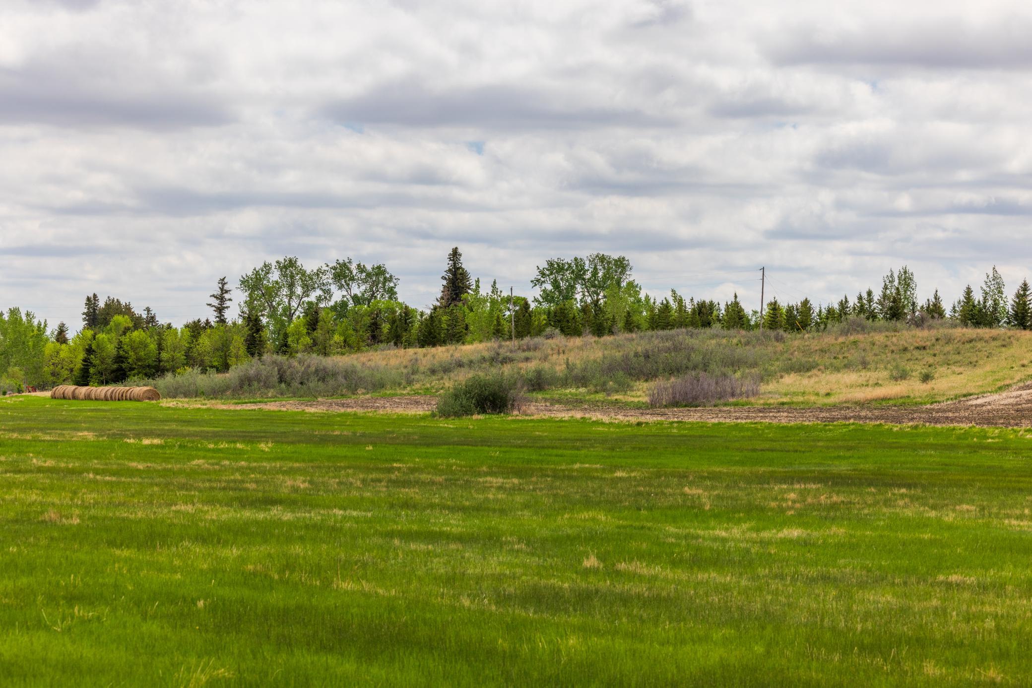 land for sale at TBD 6 Avenue NE in Souris, ND (photo 52 of 69)