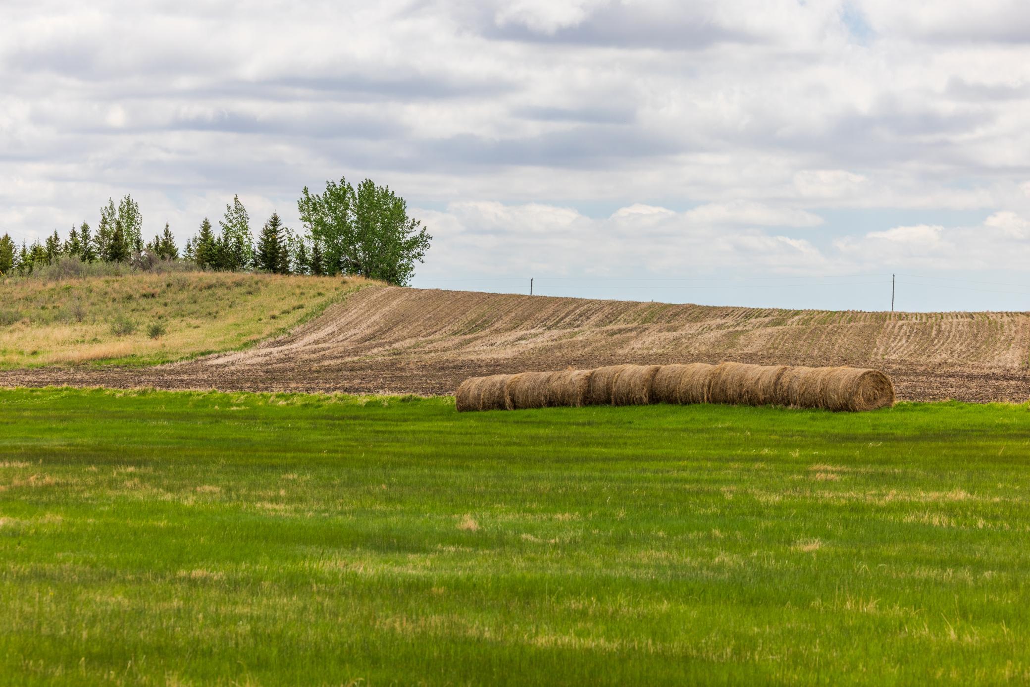 land for sale at TBD 6 Avenue NE in Souris, ND (photo 55 of 69)