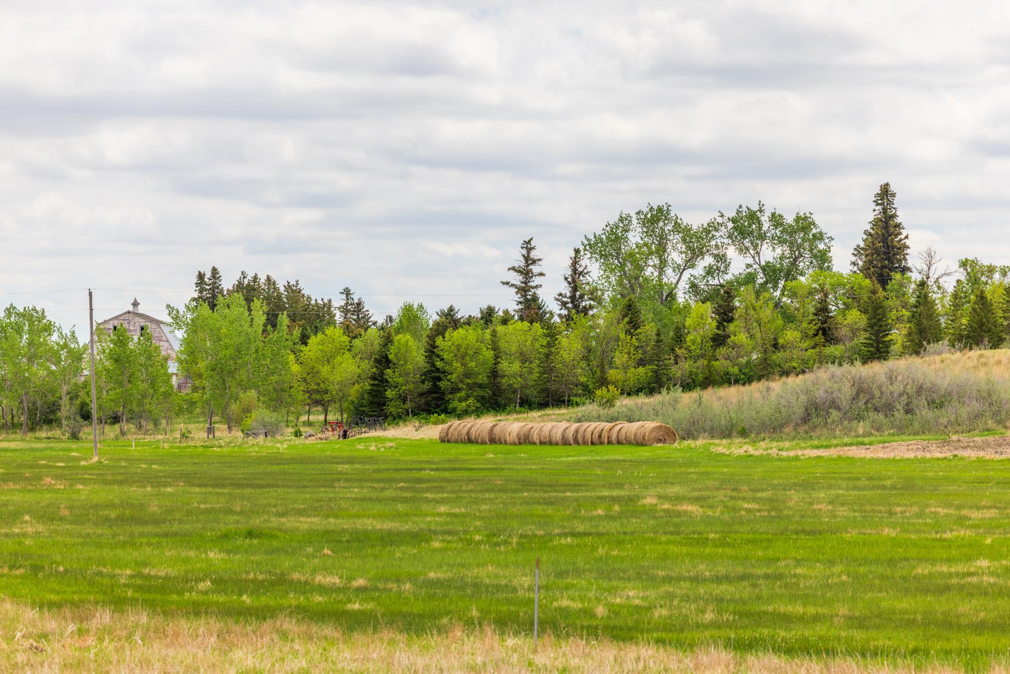 land for sale at TBD 6 Avenue NE in Souris, ND (photo 57 of 69)