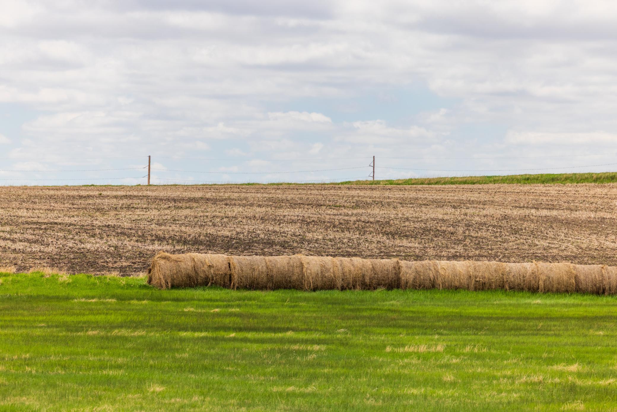 land for sale at TBD 6 Avenue NE in Souris, ND (photo 58 of 69)