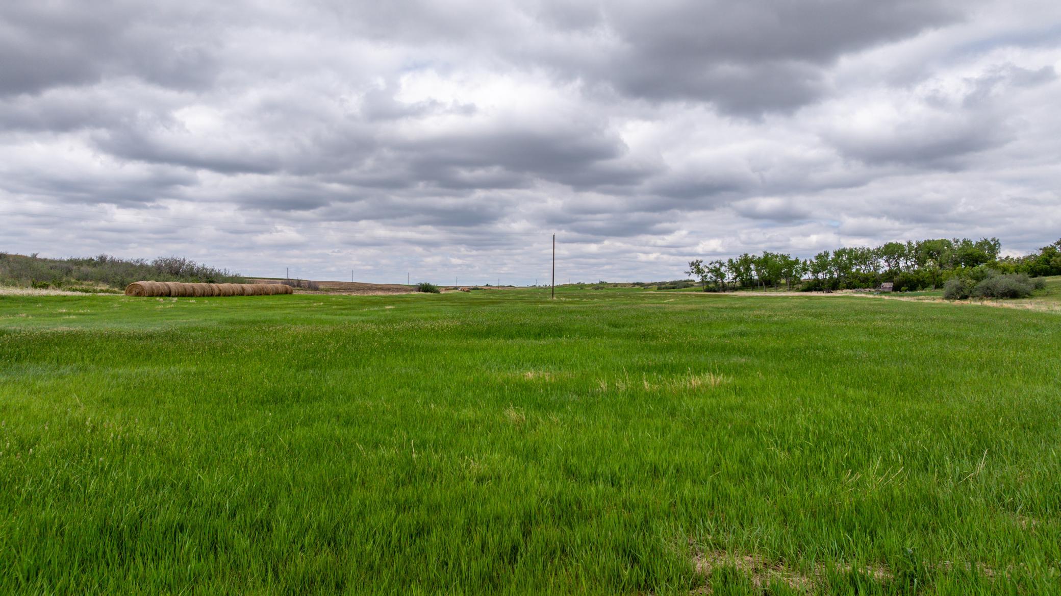 land for sale at TBD 6 Avenue NE in Souris, ND (photo 65 of 69)