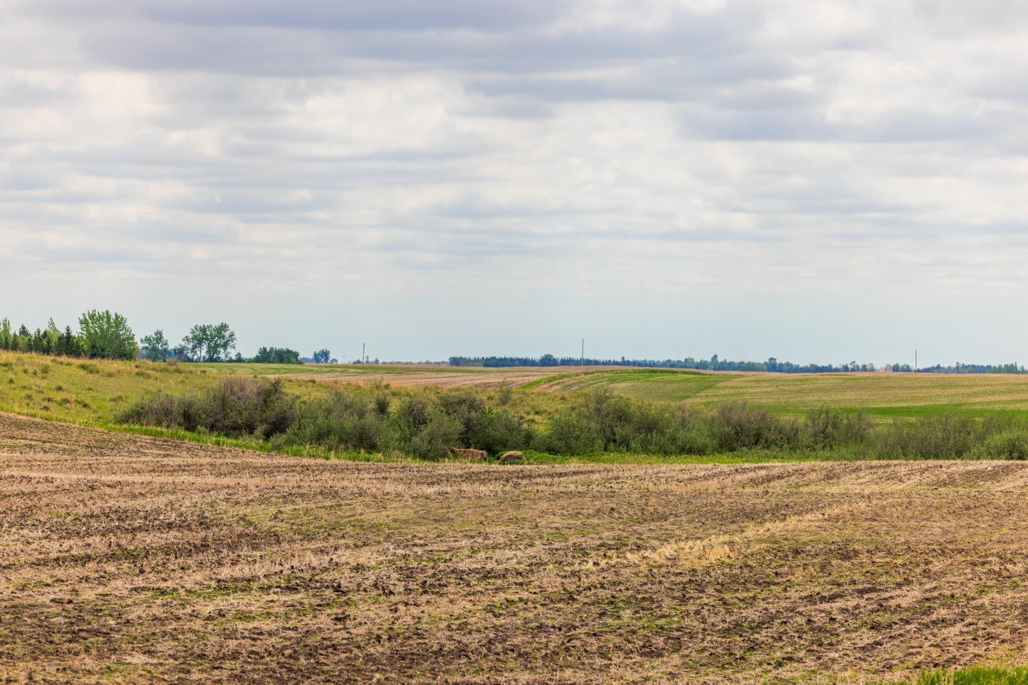 land for sale at TBD 6 Avenue NE in Souris, ND (photo 9 of 69)